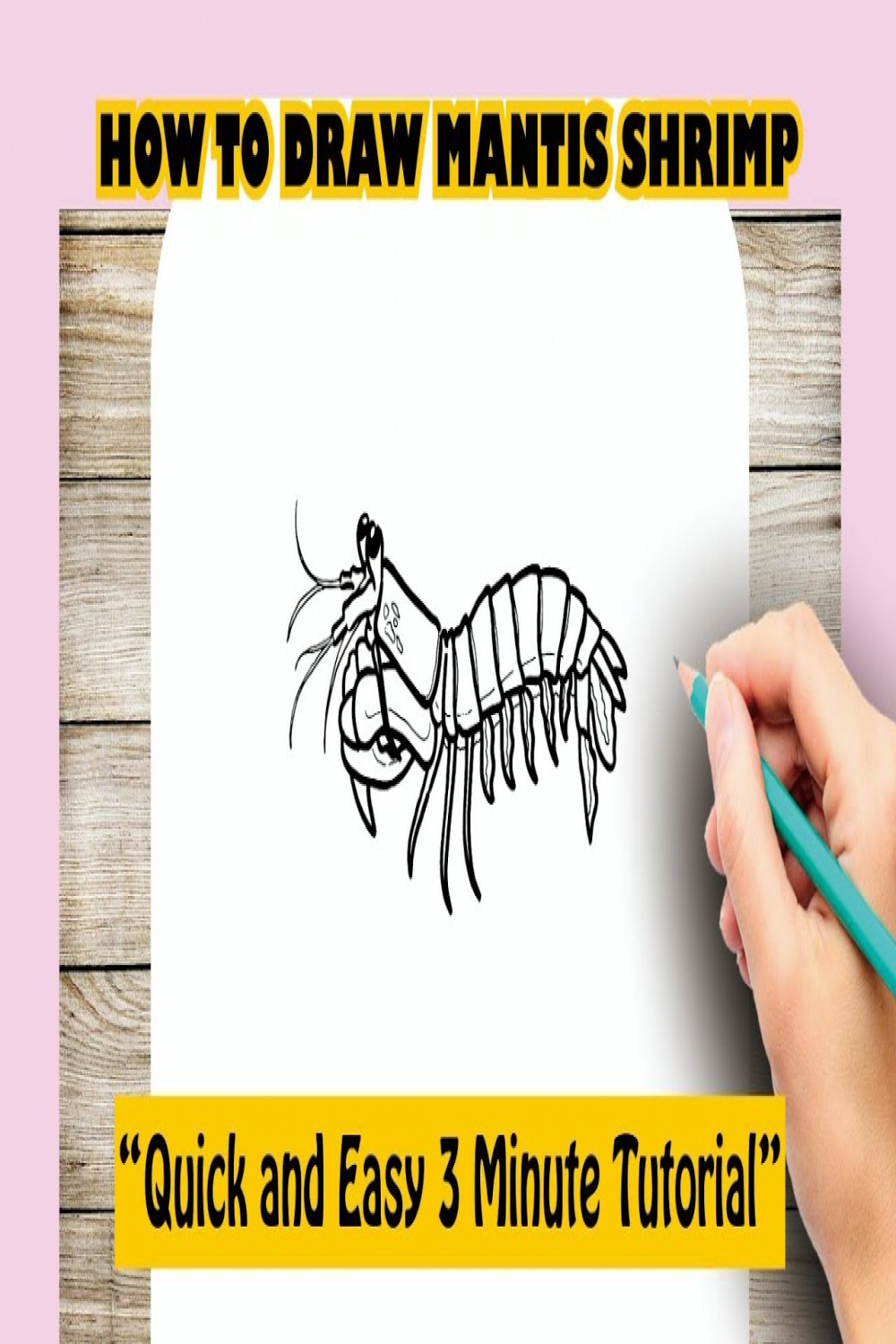 How to draw MANTIS SHRIMP