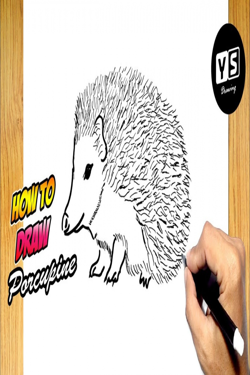 How to draw Porcupine