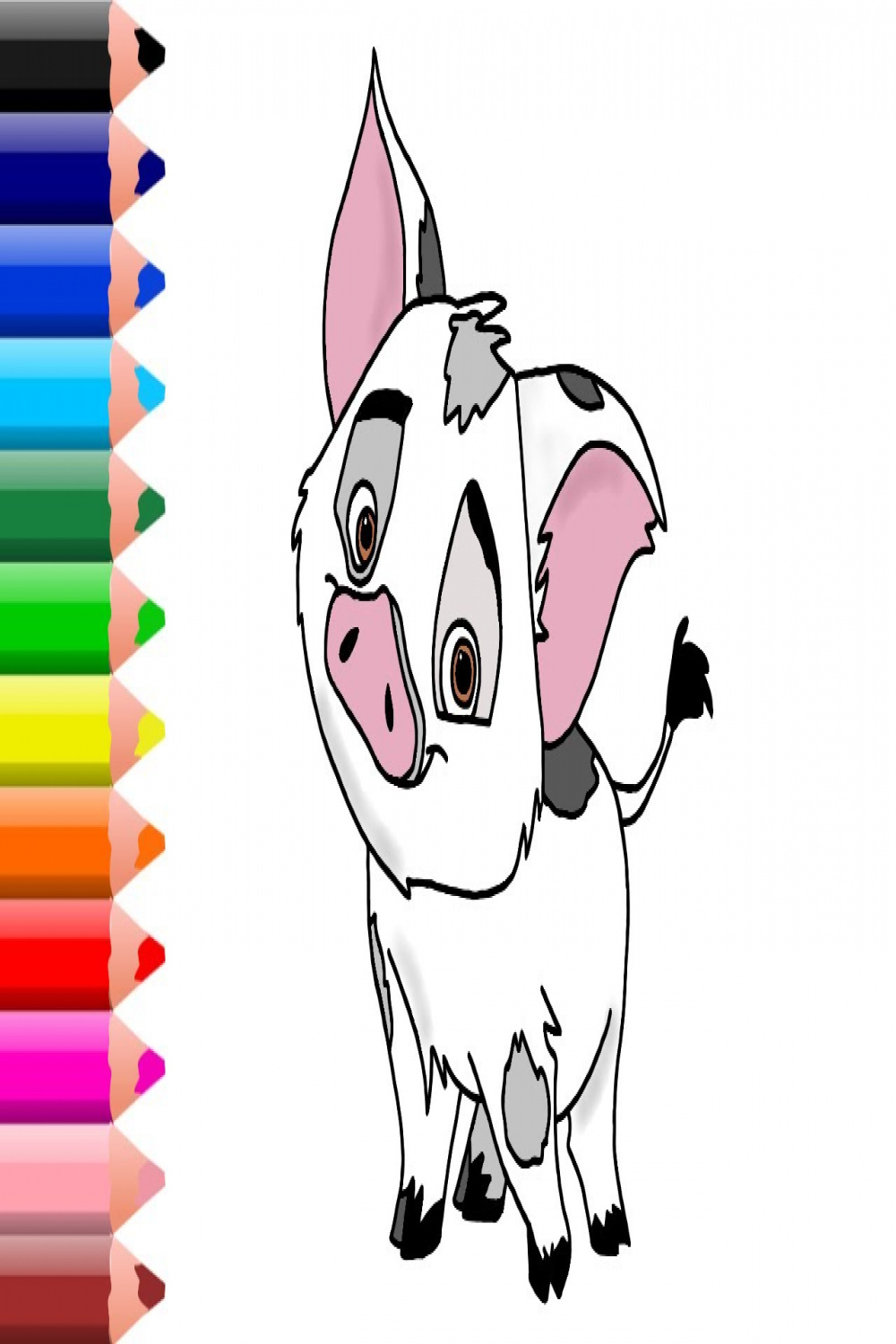 How to Draw Pua from Moana