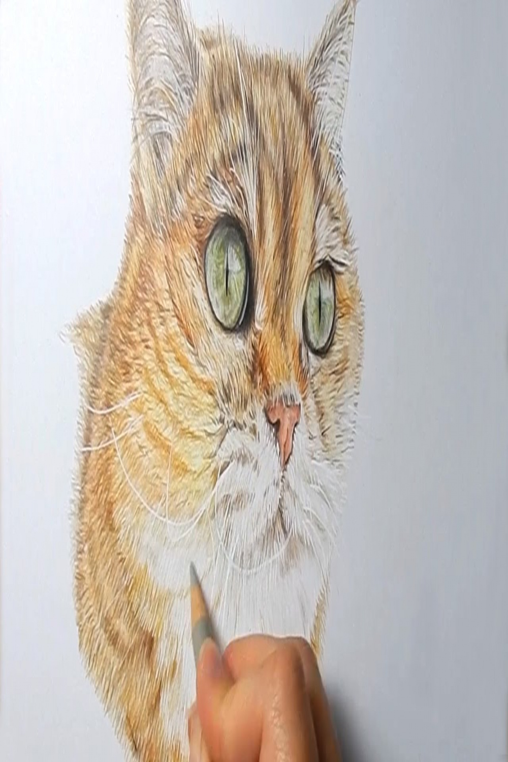 How to draw realistic cat fur with colored pencils  Emmy Kalia