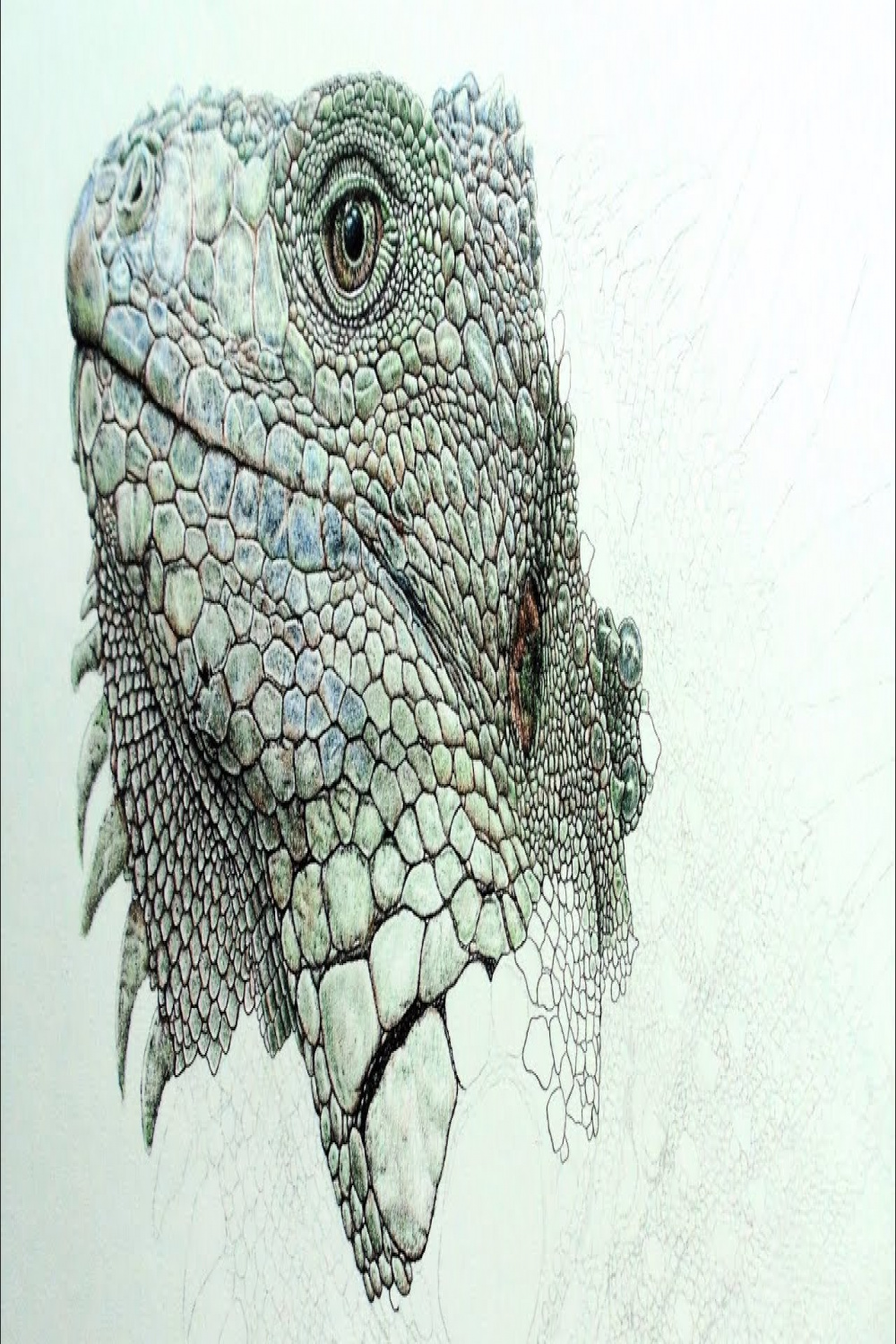 How To Draw Realistic Iguana Scales