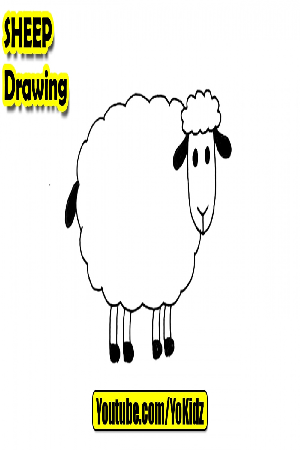 How to draw Sheep for kids