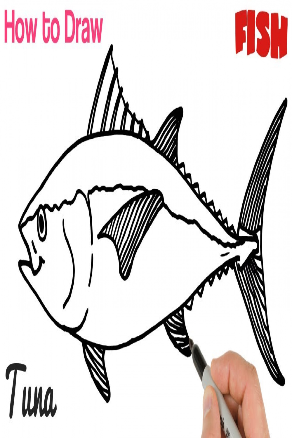 How to Draw Tuna Fish Easy for Beginners  Art Tutorial