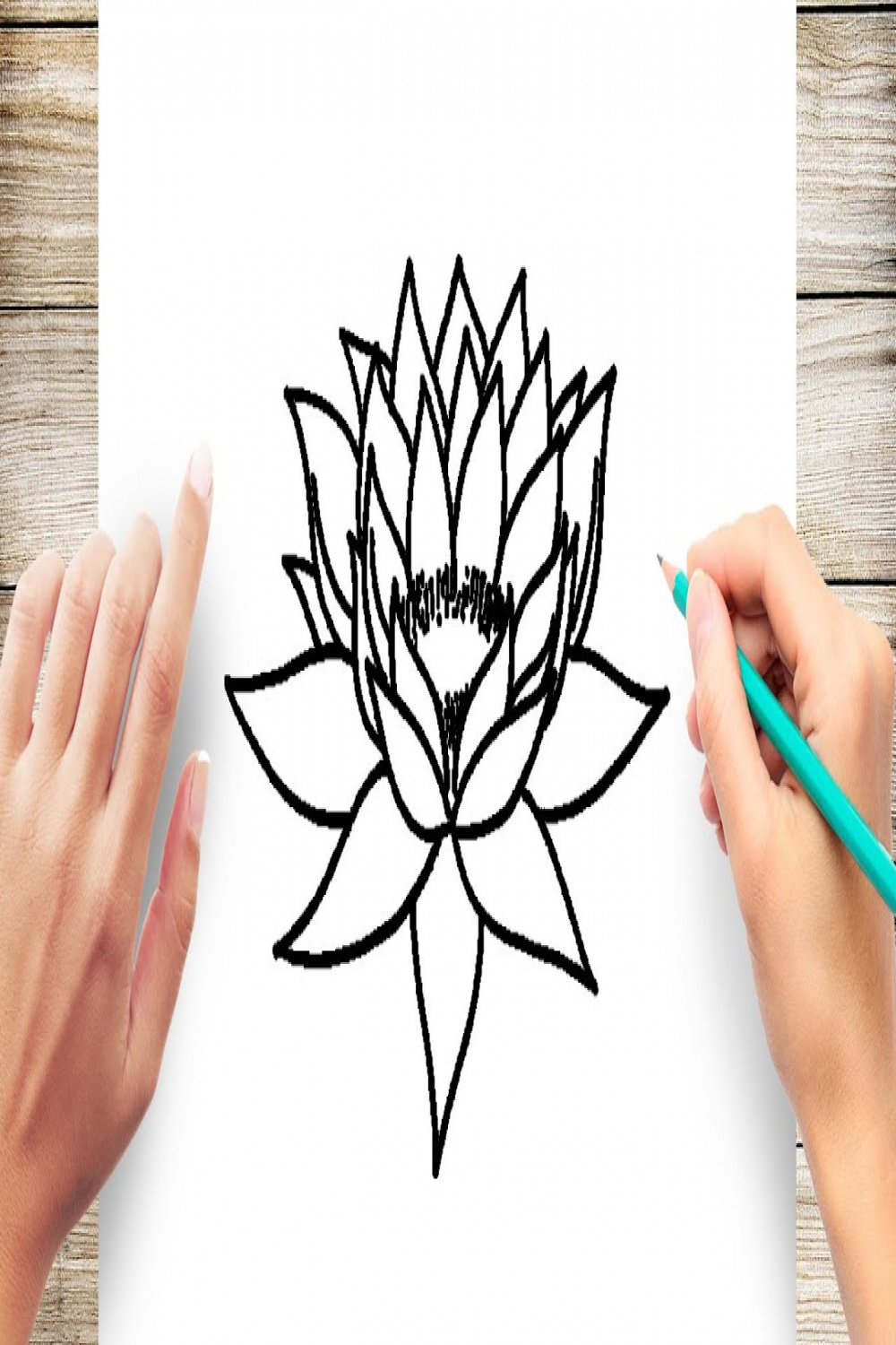 How To Draw Water Lily Easy