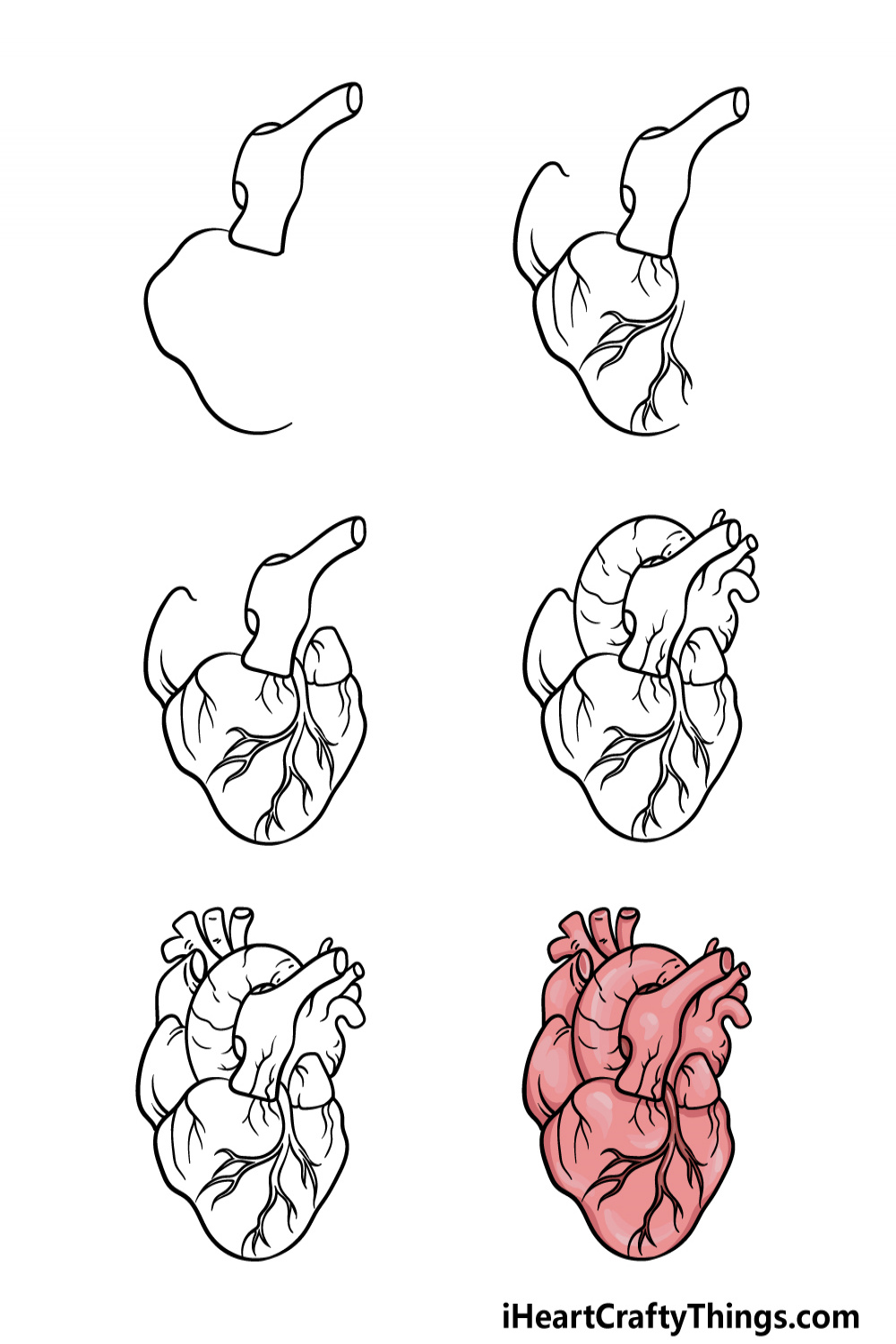 Human Heart Drawing - How To Draw A Human Heart Step By Step