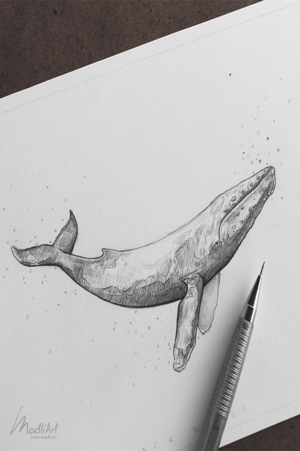 Humpback whale art by MadliArt  Whale art, Whale drawing, Whale