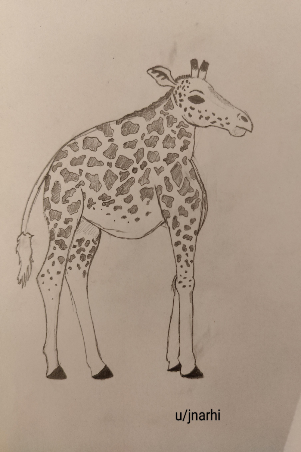 I drew a short necked giraffe : r/drawing