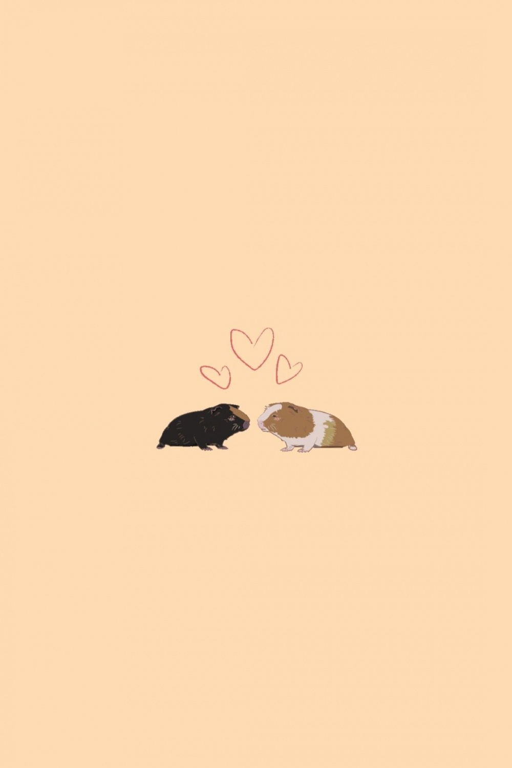 I love my GuineaPig  Porquinho da india, Hamsters, Porquinhos