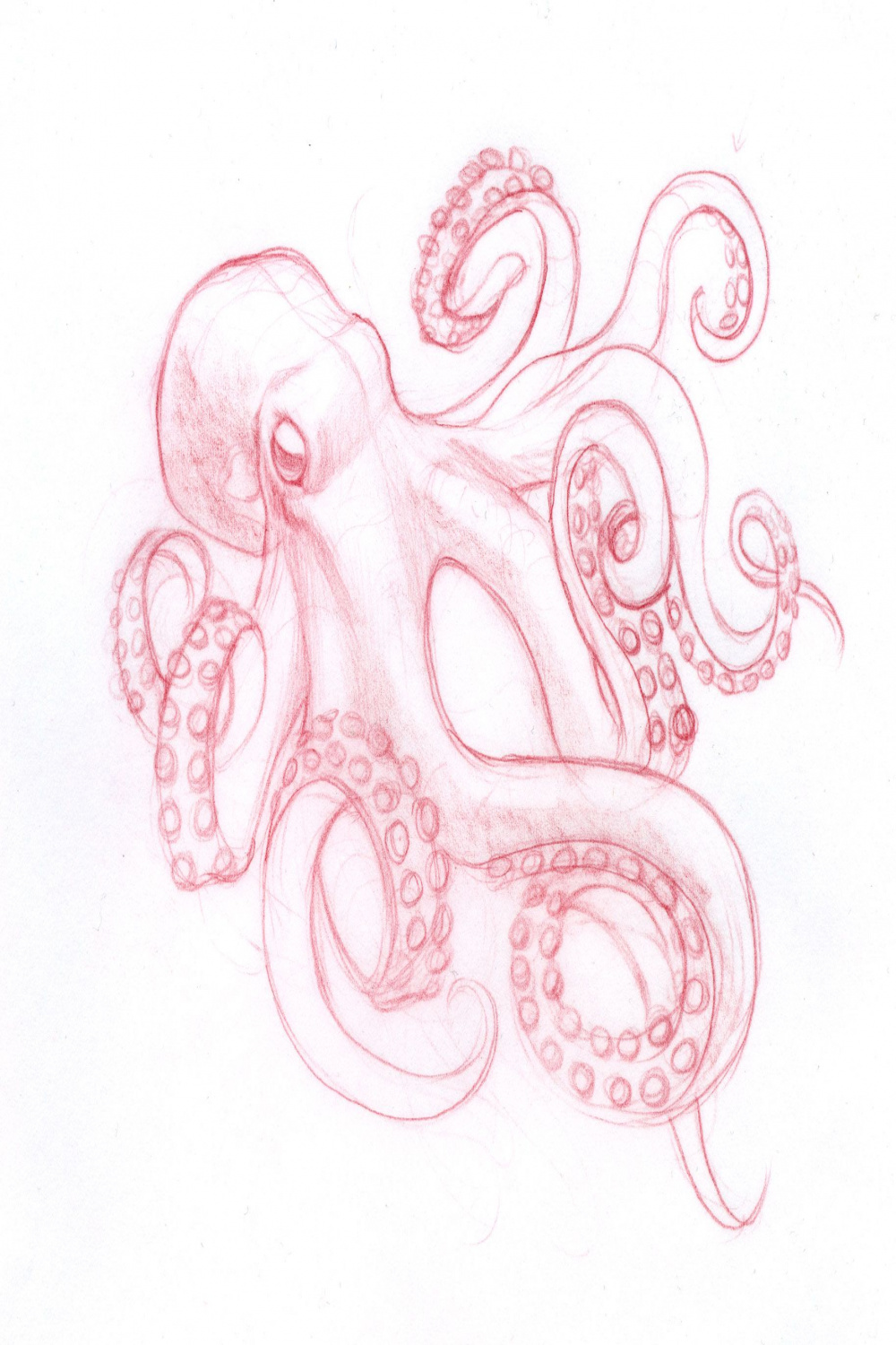 I really like this for inspiration for my octo tattoolil more