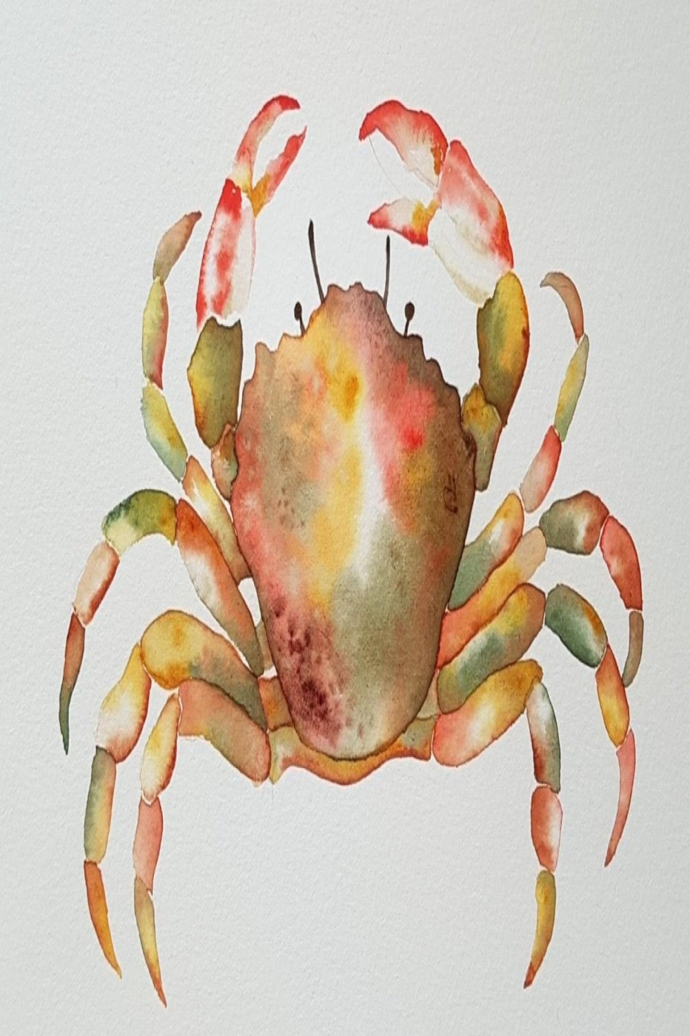 Illustration d