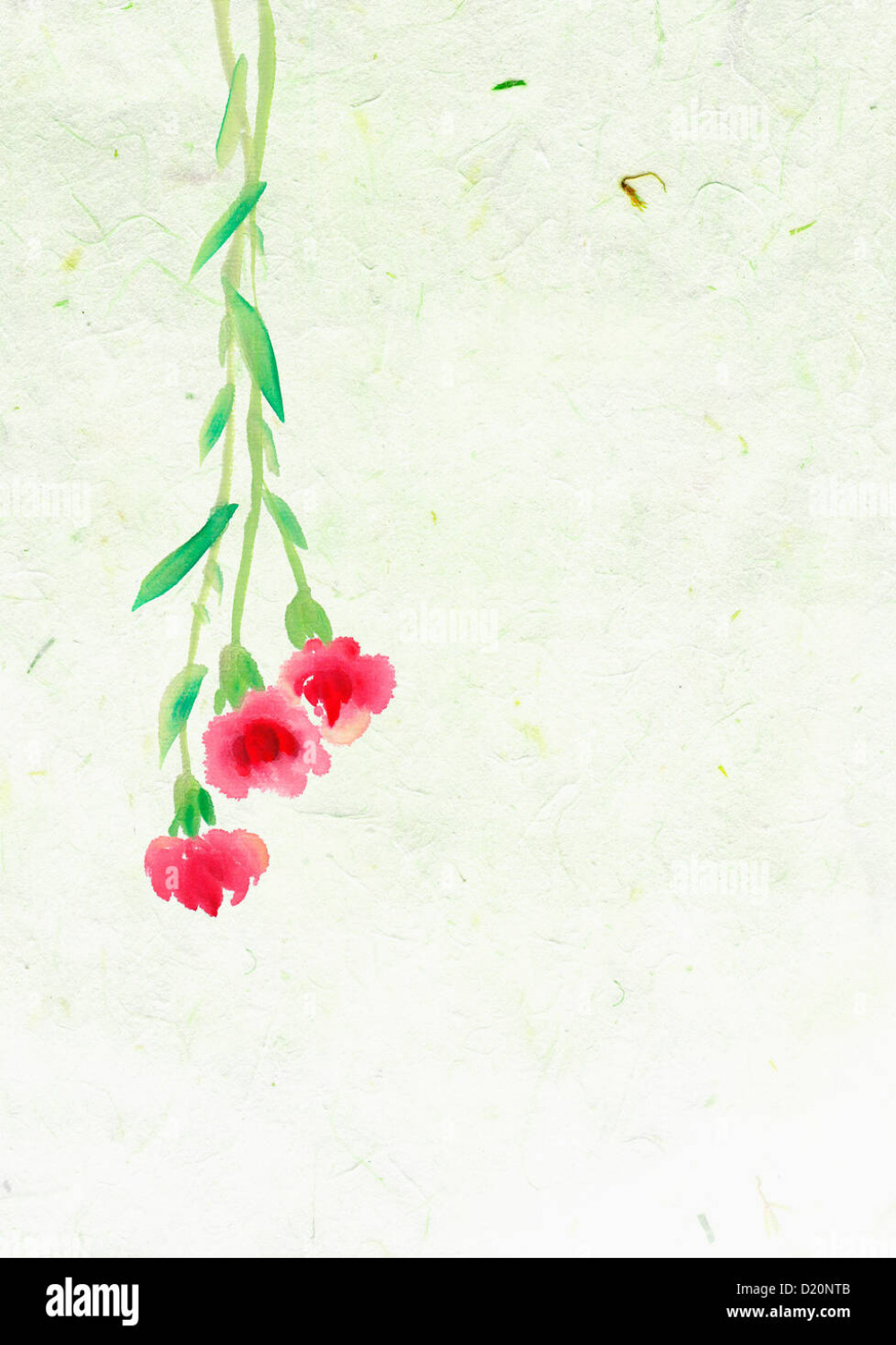 illustration drawing of rose plants hanging upside down Stock