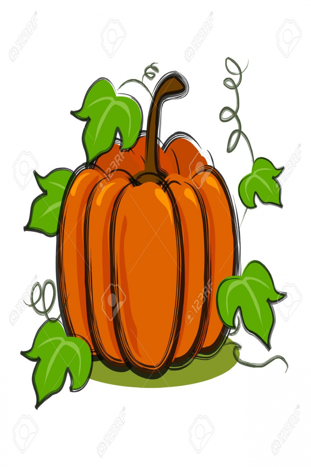 Illustration Für Kürbis Mit Reben In Der Kunst Pinsel Und Isoliert