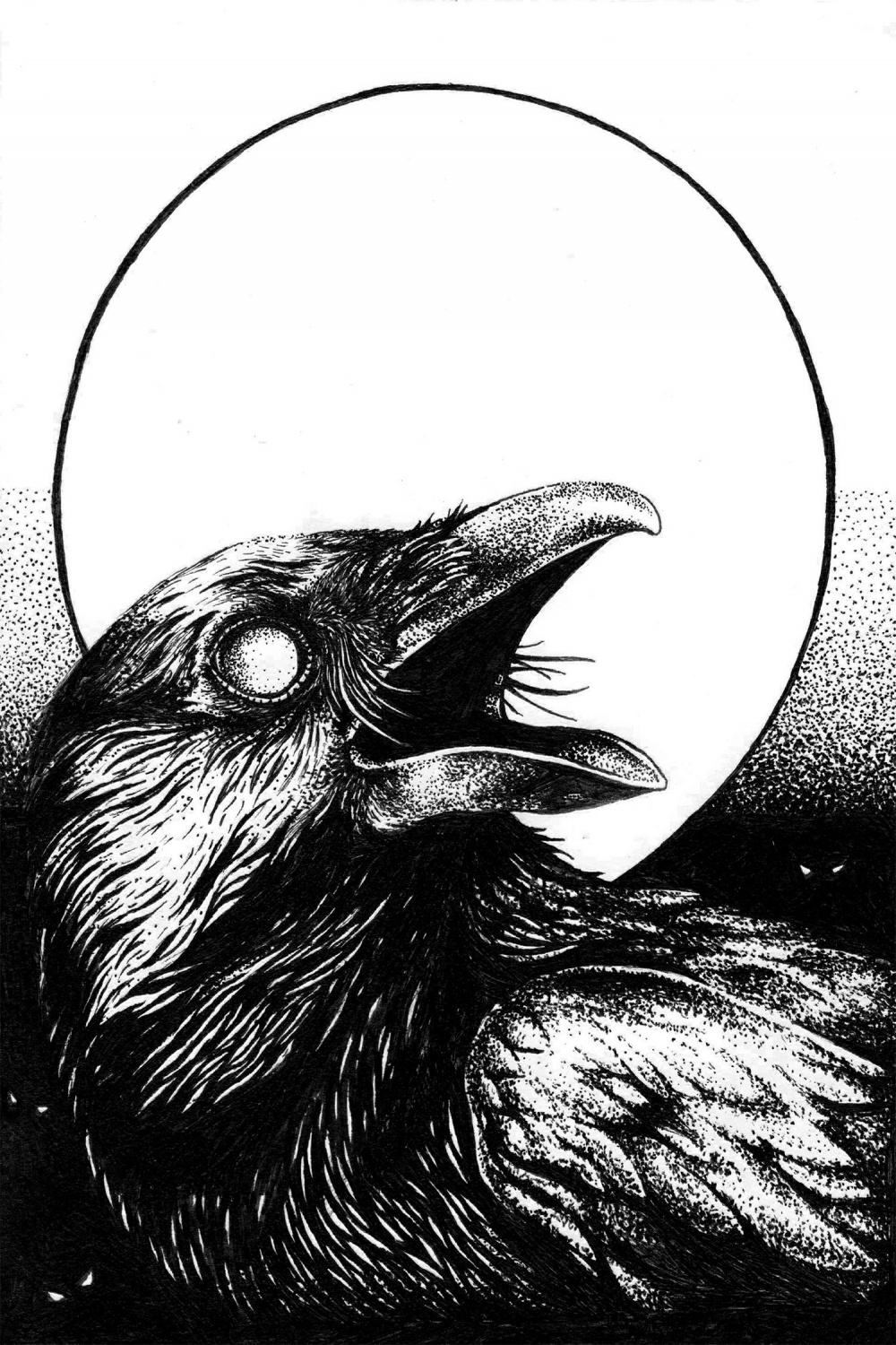 Image result for crow illustration  Raven art, Crow art, Crows