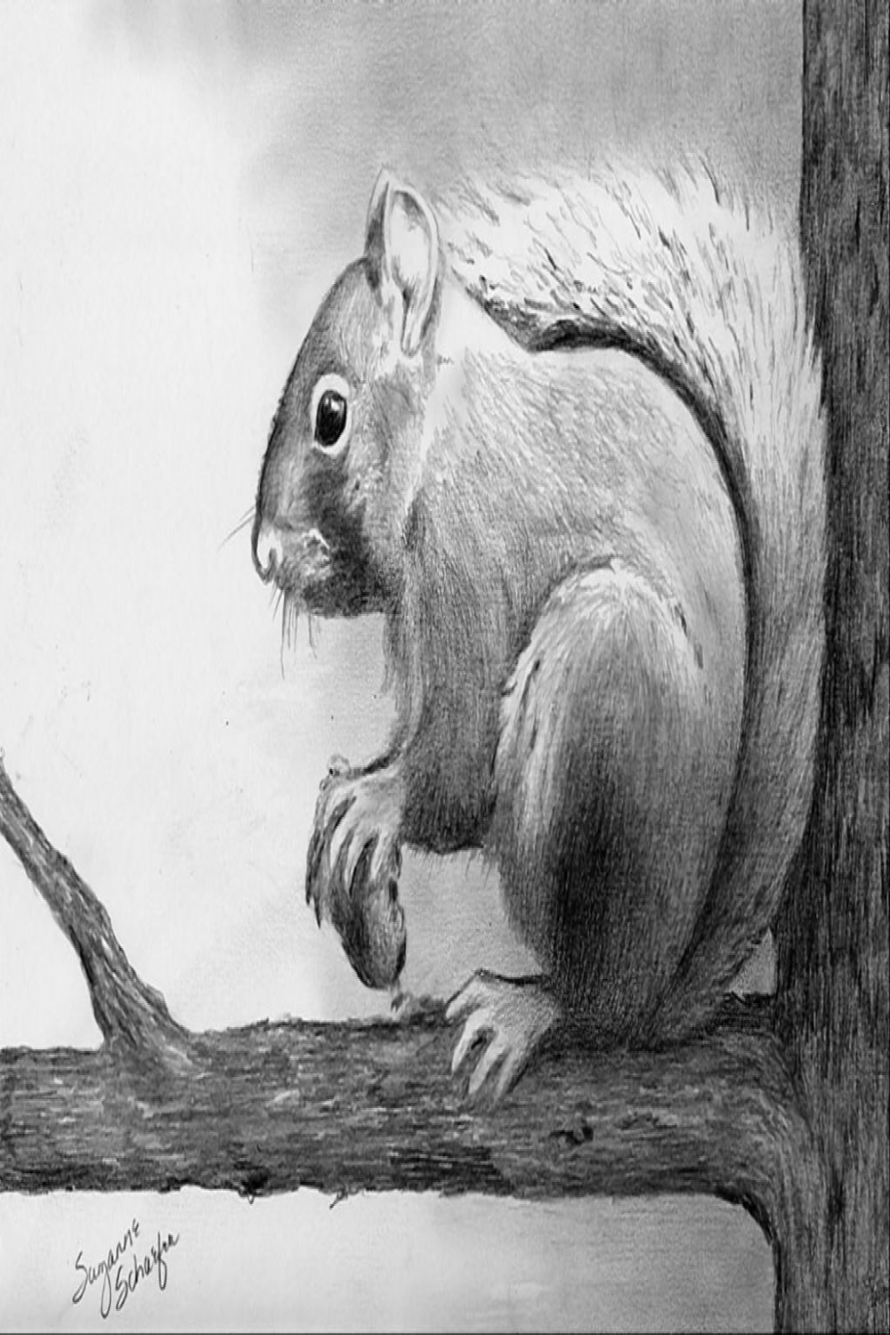 Image result for easy pencil drawings of animals for beginners