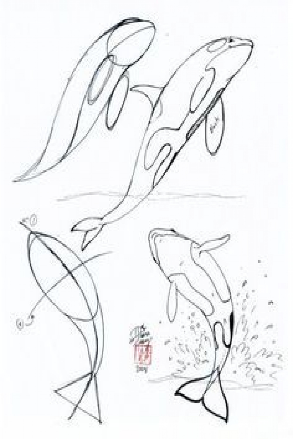 Image result for fish drawing reference  Whale drawing, Fish