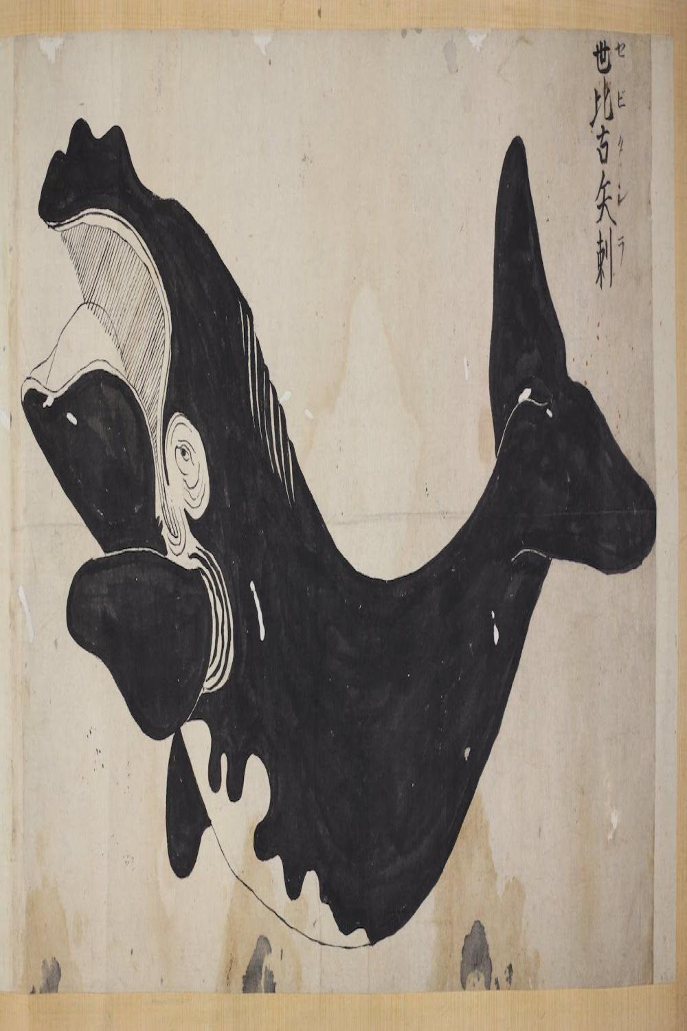 In Edo Japan, Artists Captured Whales Like Never Before  Whale