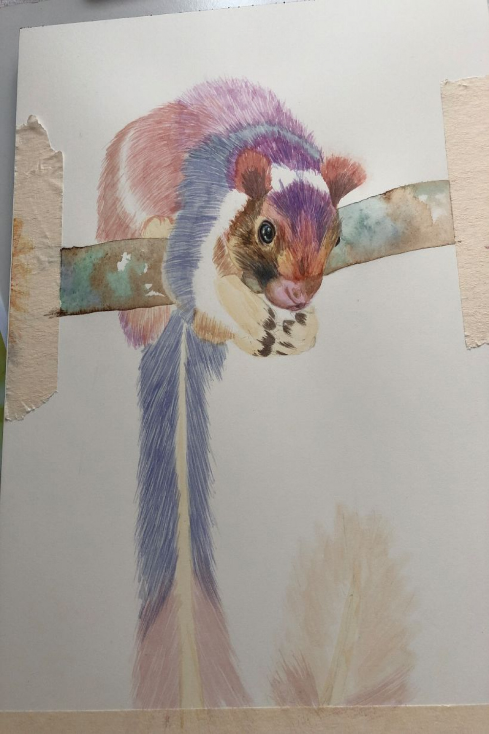 Indian Giant Squirrel  Domestika