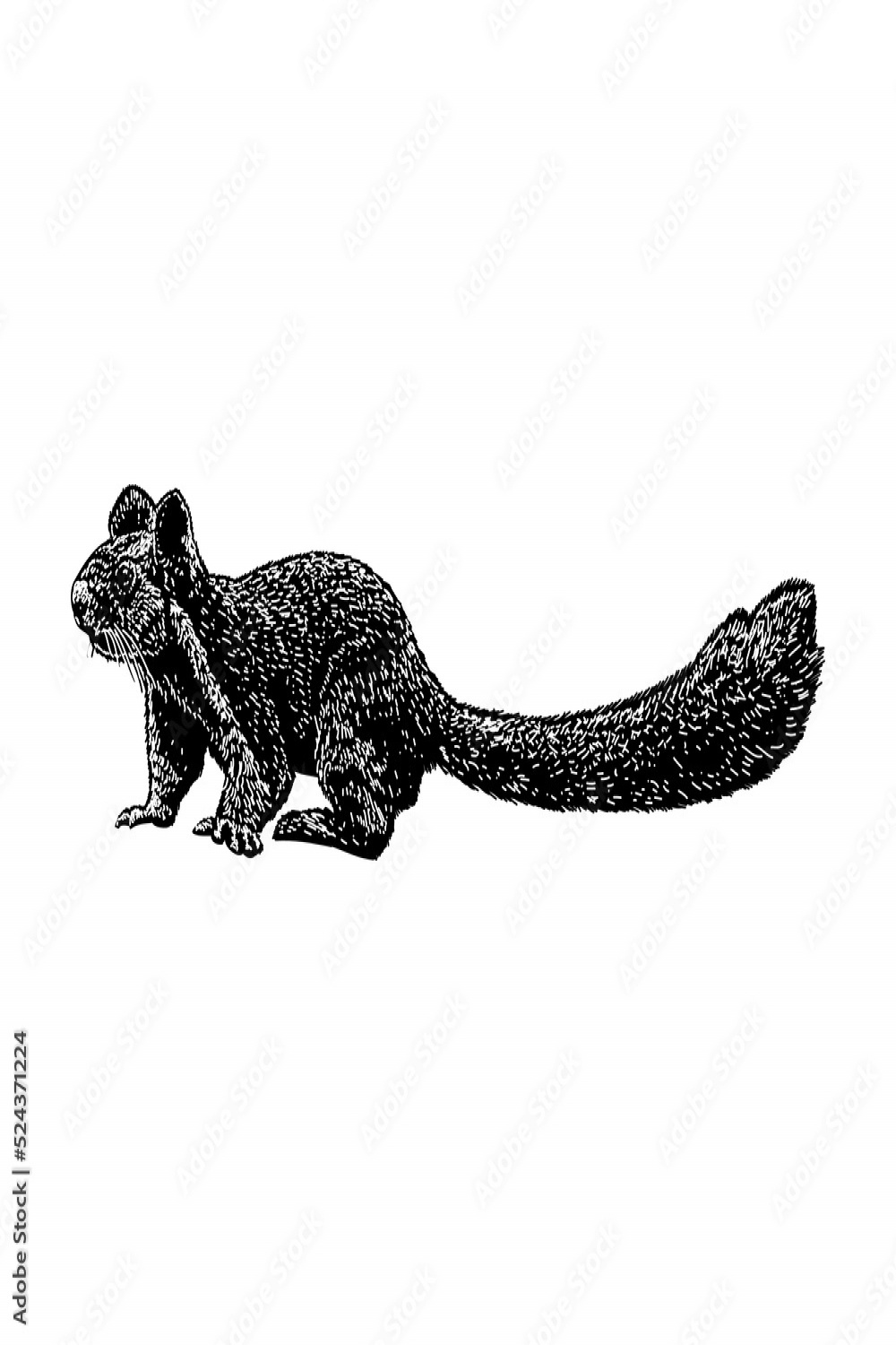 Indian Giant Squirrel hand drawing vector illustration isolated on