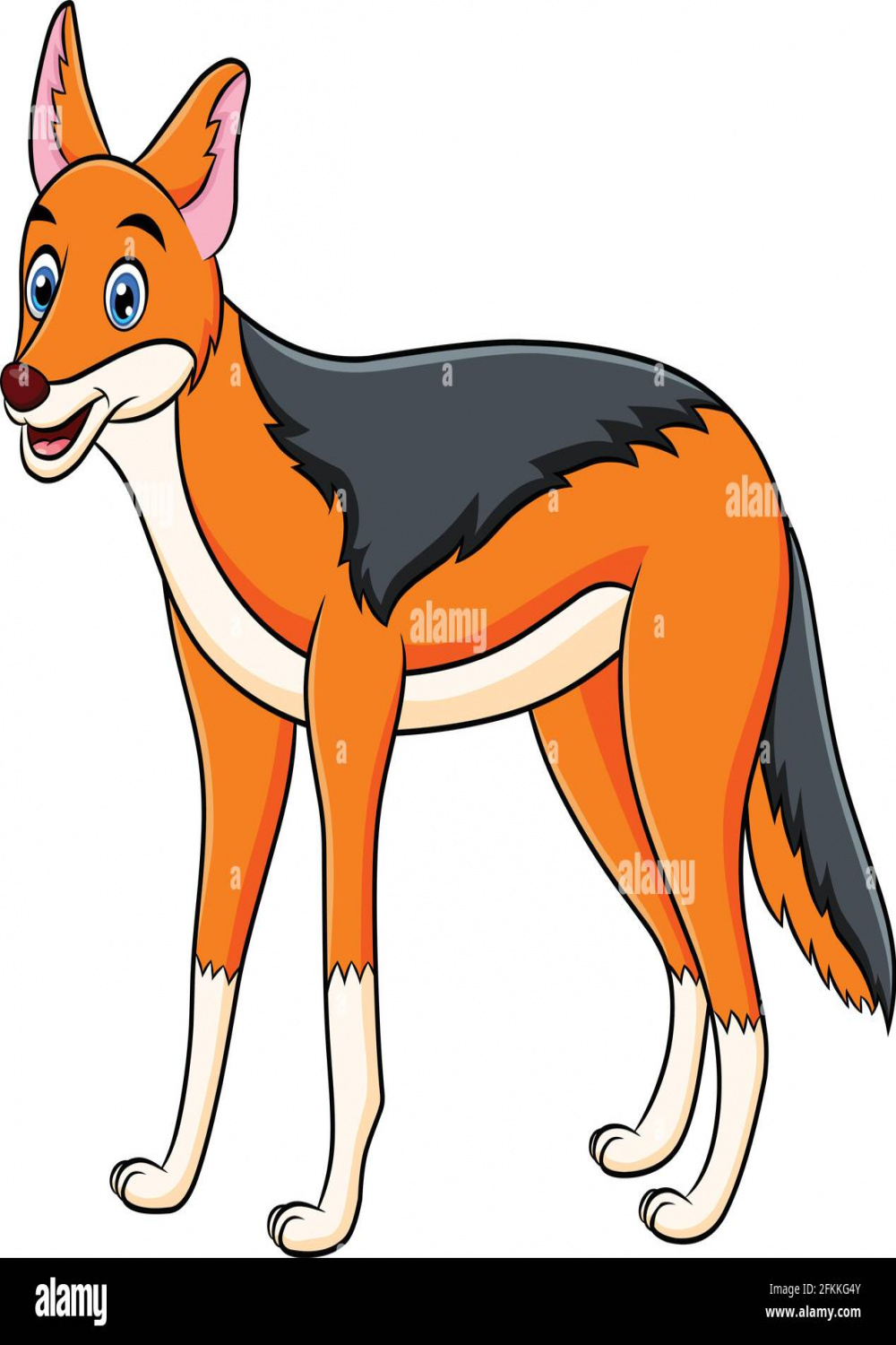 Jackal animal cartoon illustration hi-res stock photography and