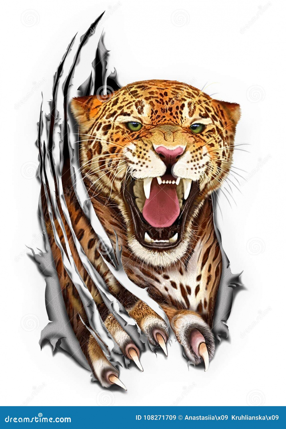 Jaguar Claws Stock Illustrations –  Jaguar Claws Stock