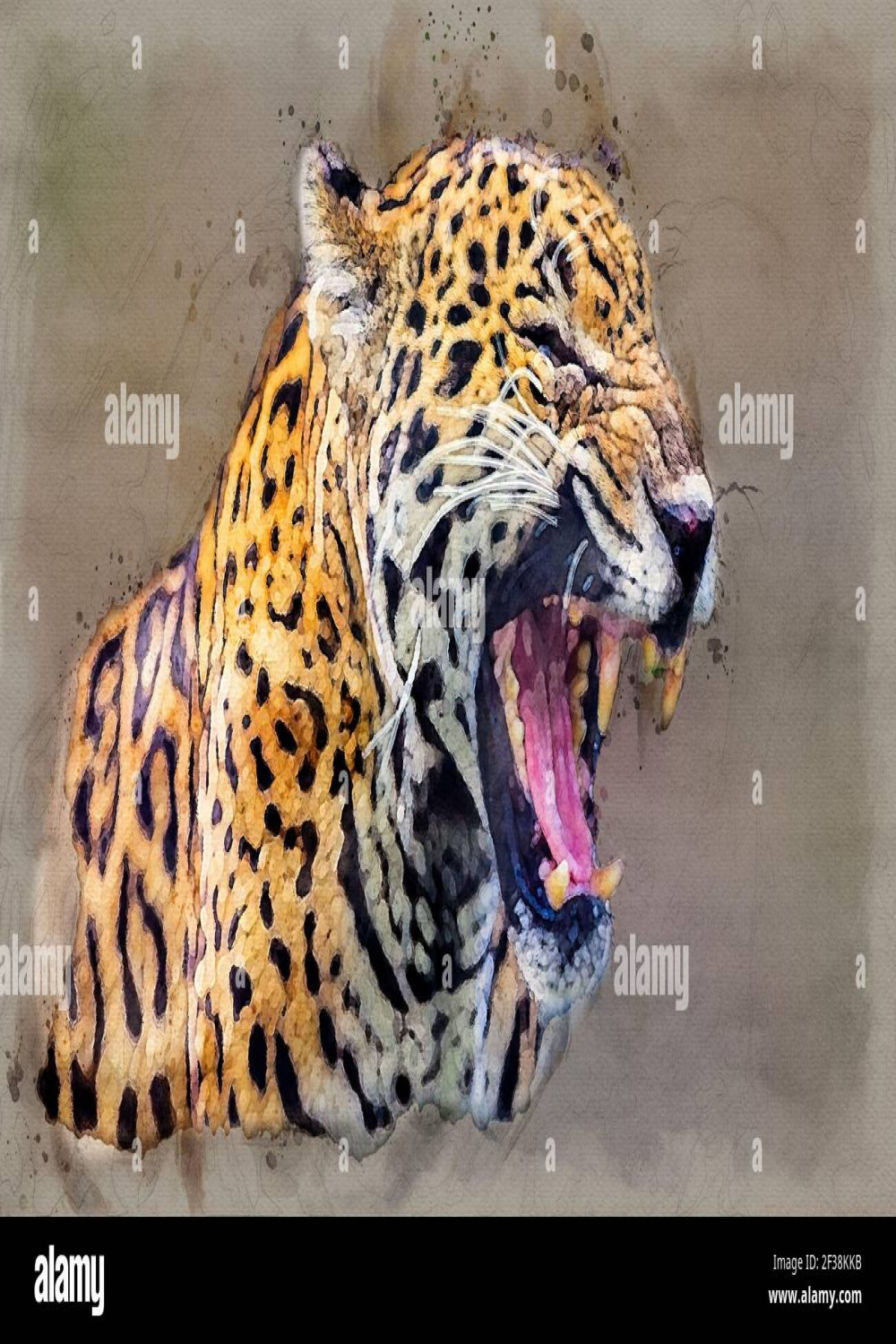 Jaguar wild attacking mouth open digital watercolor illustration