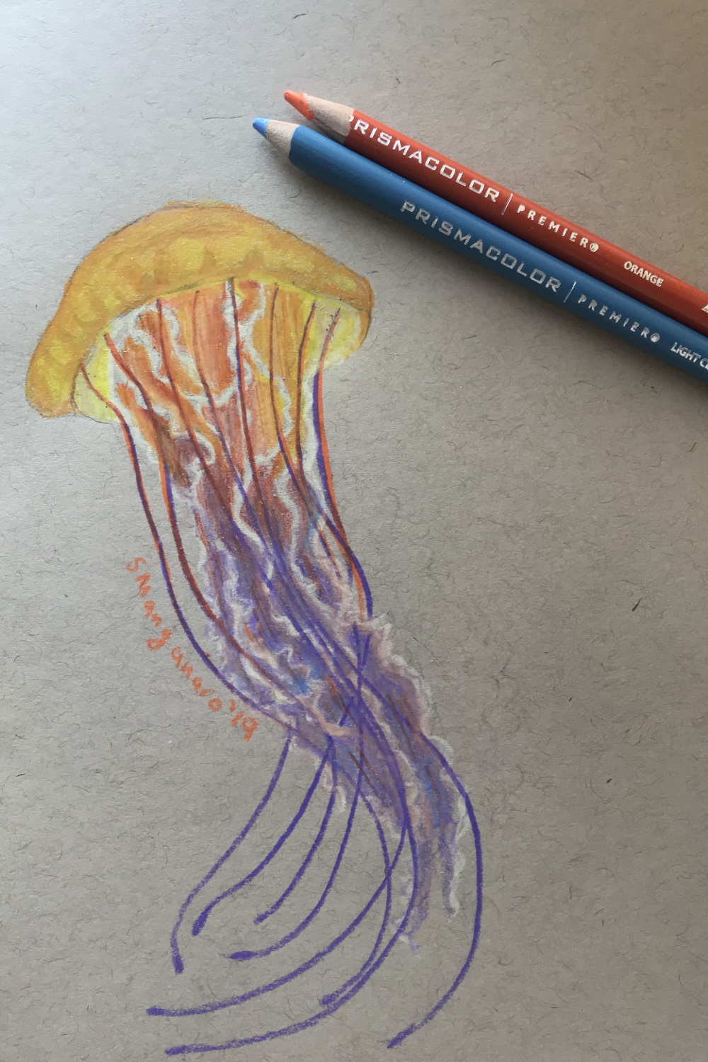 Jellyfish drawing  Jellyfish drawing, Colored pencil artwork