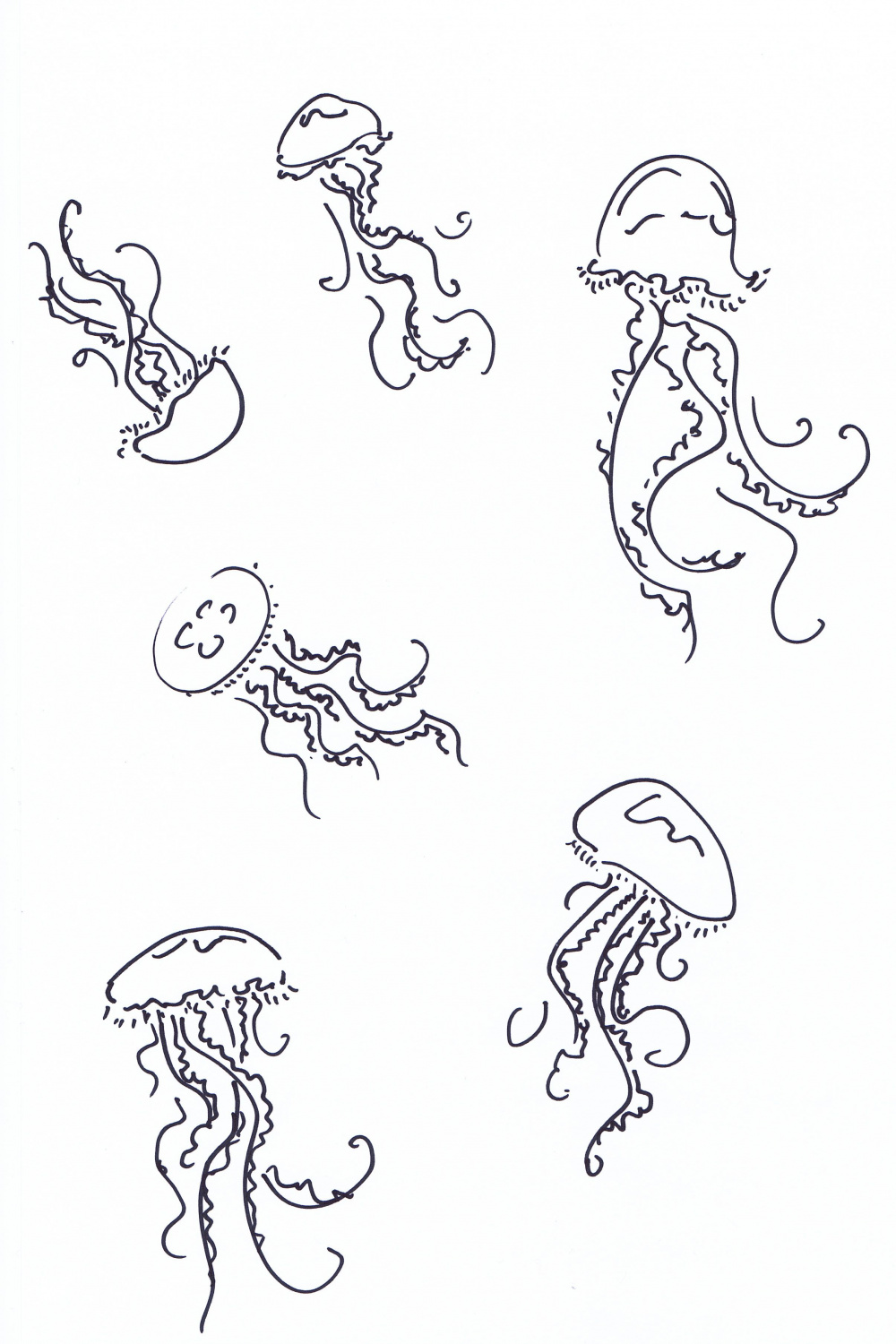 Jellyfish  Jellyfish drawing, Jellyfish tattoo, Tattoos