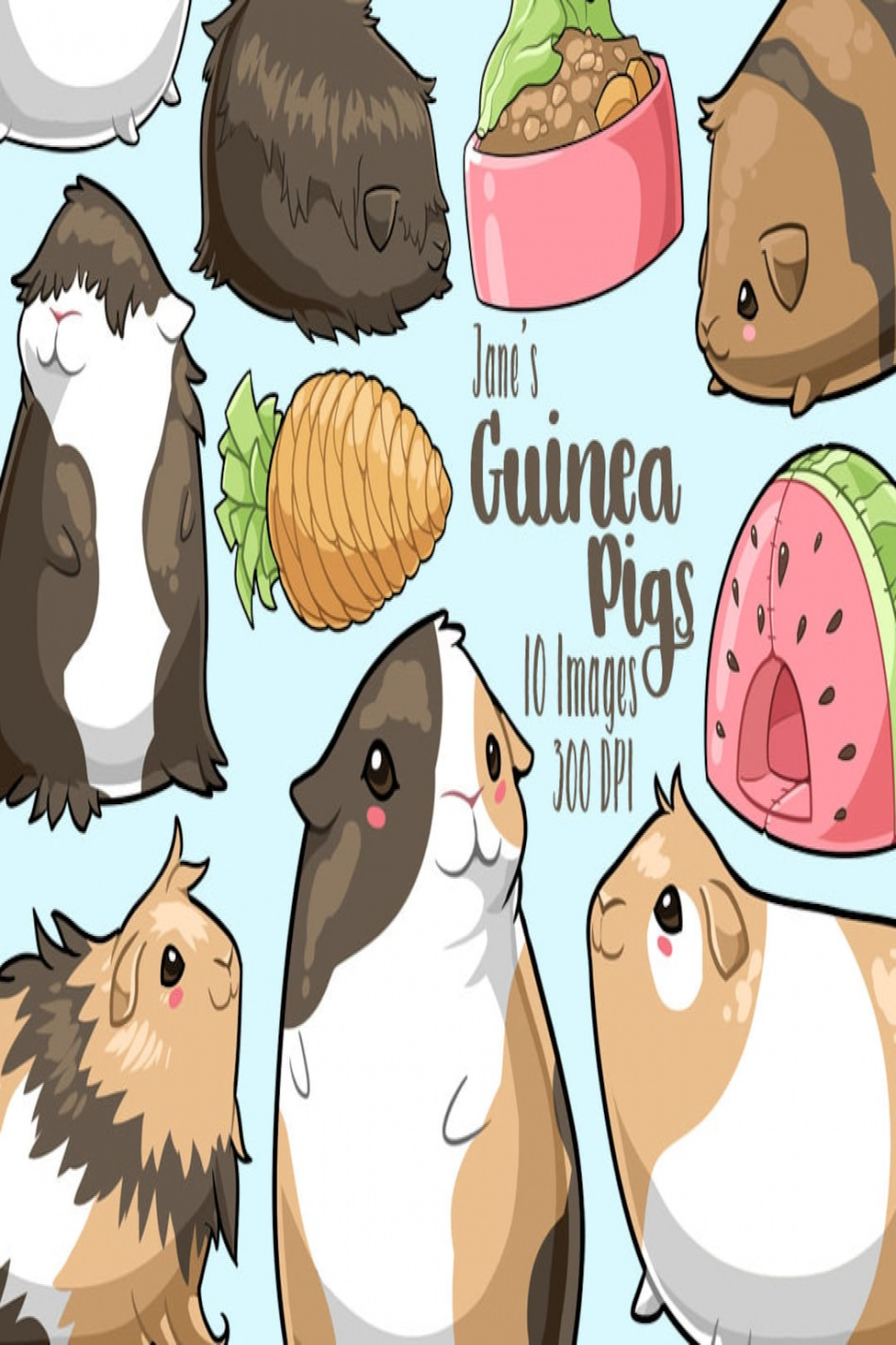 Kawaii Guinea Pigs Clipart Cute Rodents Download Cute Guinea Pigs