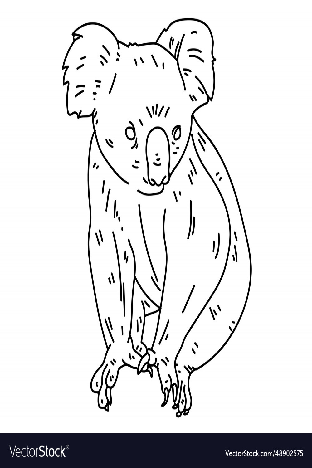 Koala nose leg ear line Royalty Free Vector Image
