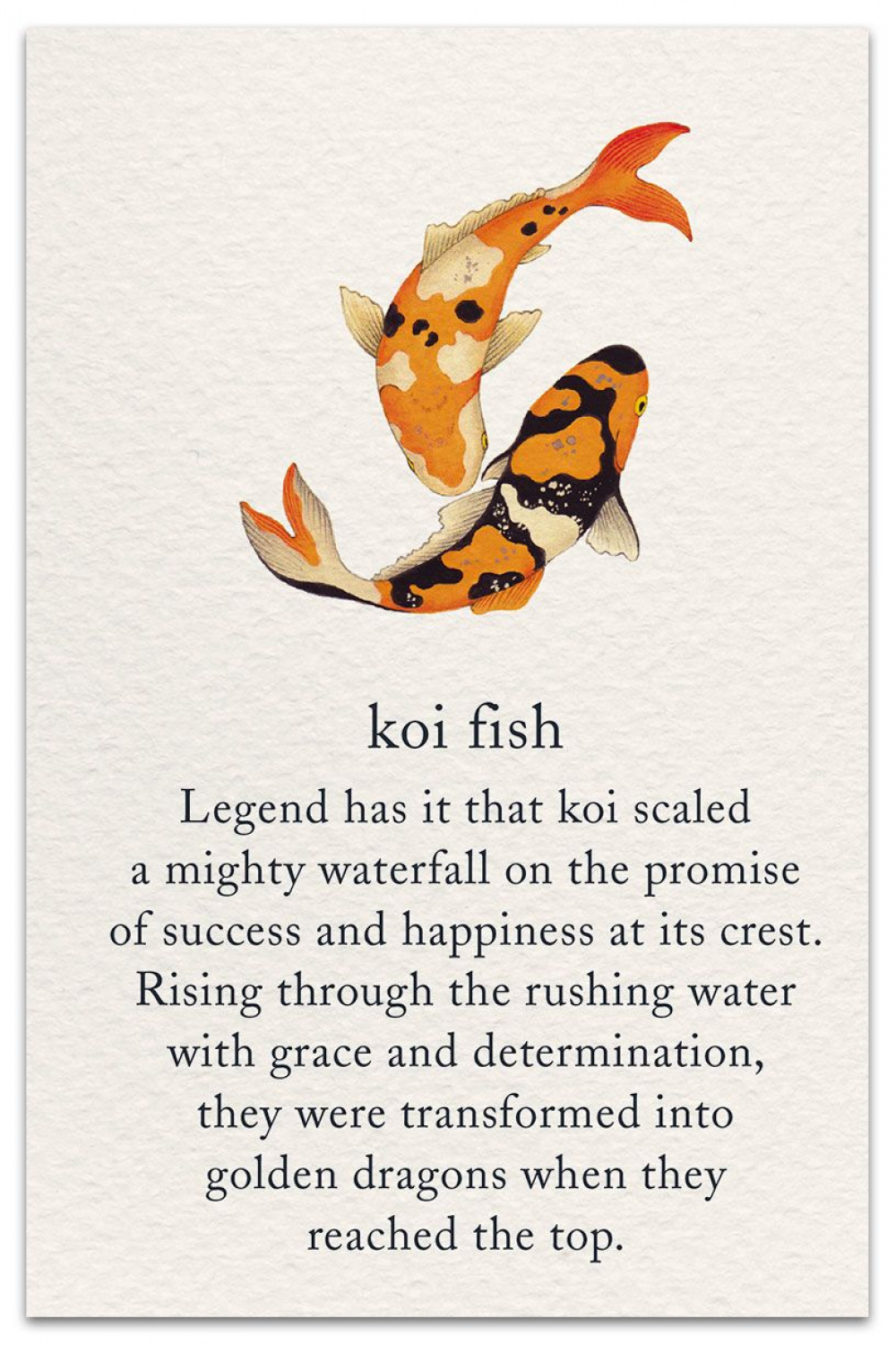 Koi Fish card  Congratulations Card  Cardthartic