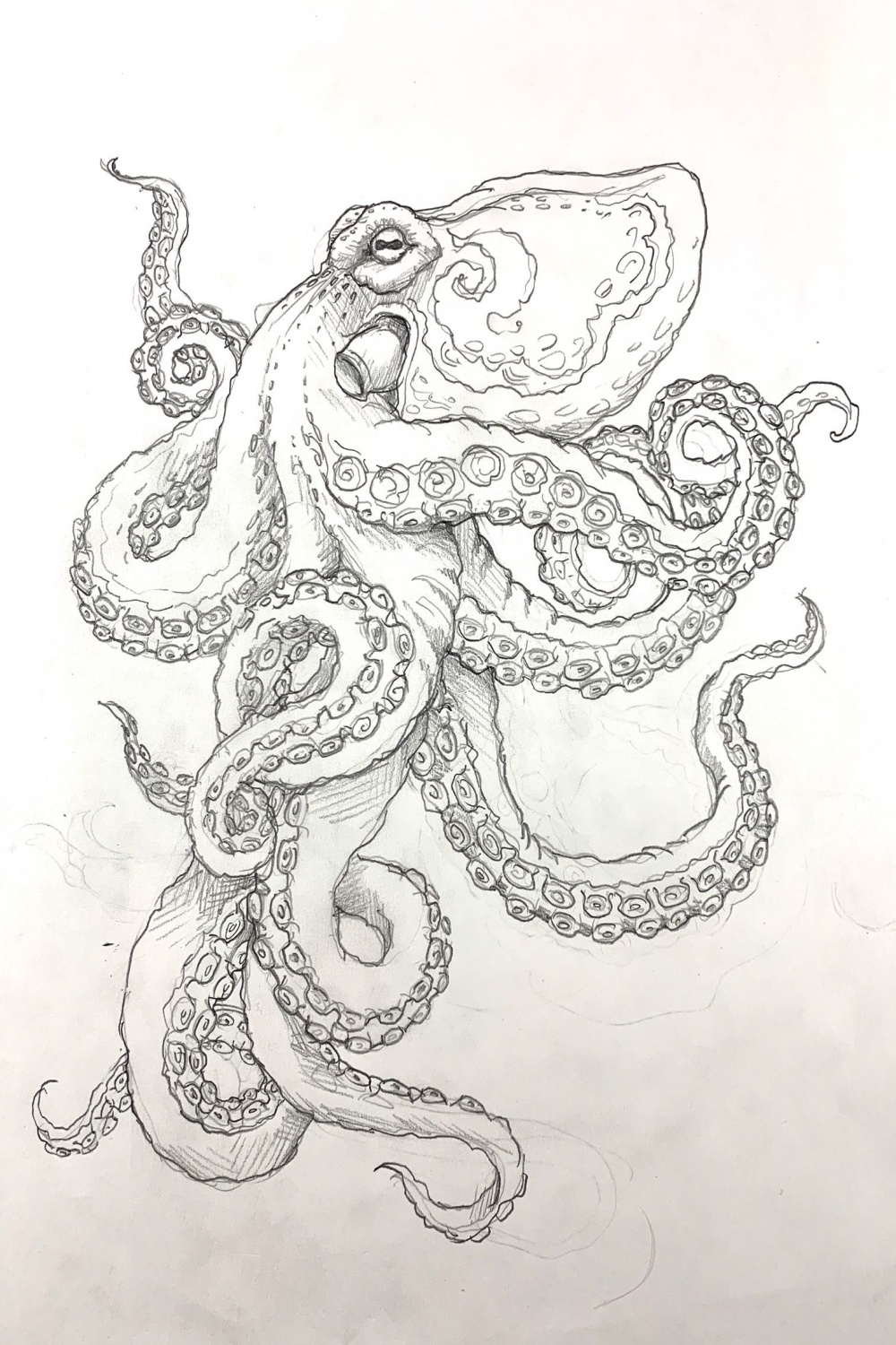 Kraken  Octopus tattoo design, Kraken tattoo, Octopus drawing