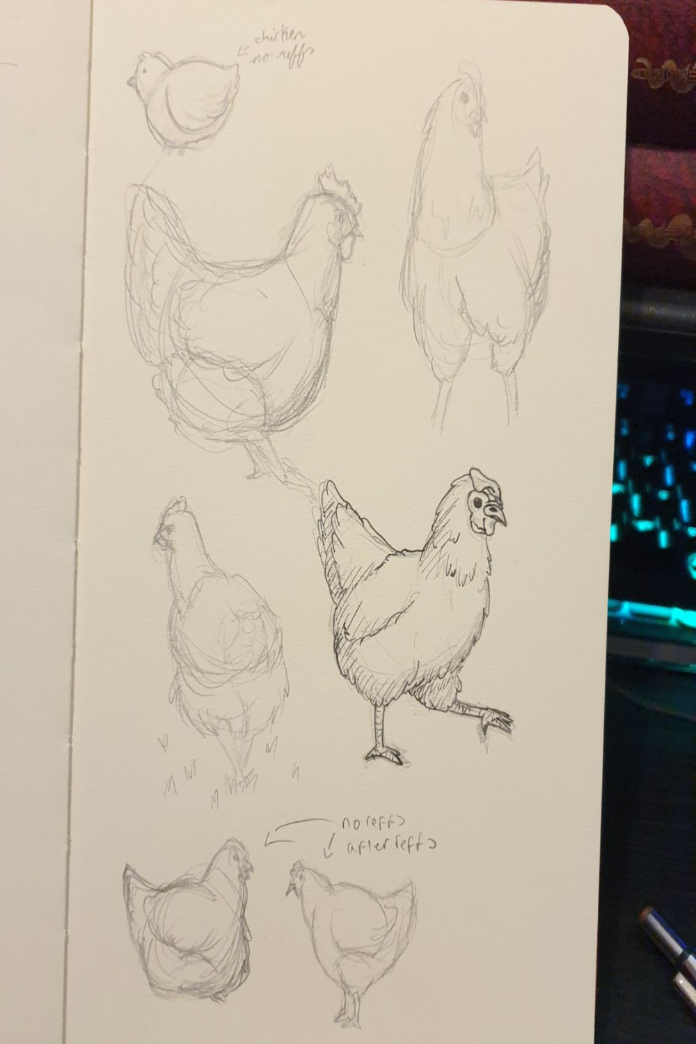 Learning to draw chickens