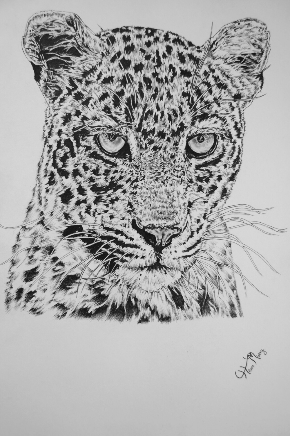 leopard art
