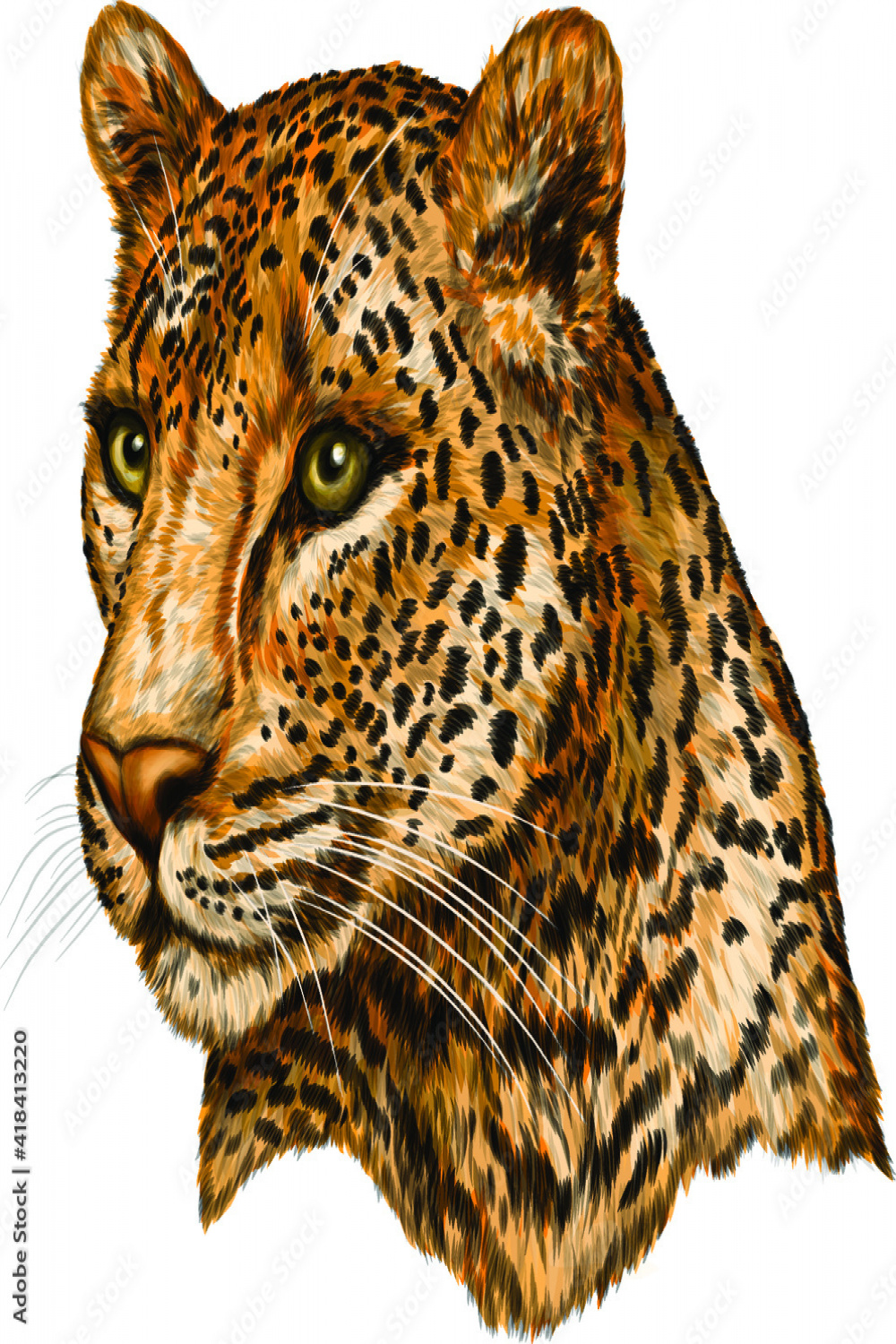 leopard portrait color drawing vector illustration Stock