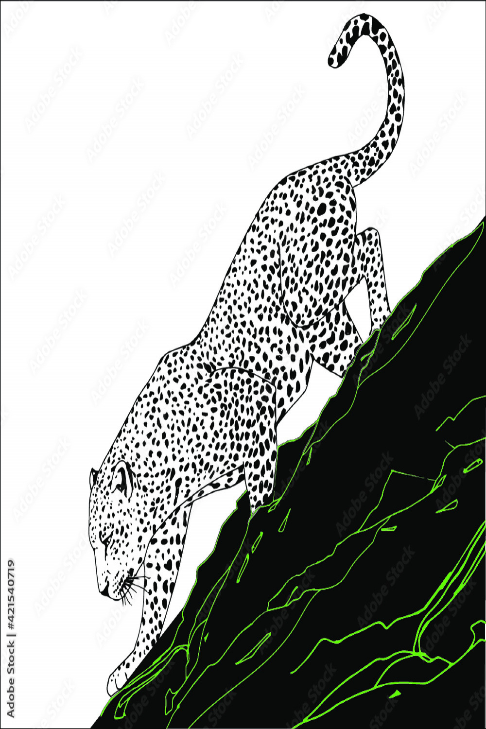 Leopard walking on the mountain black and white ink drawing