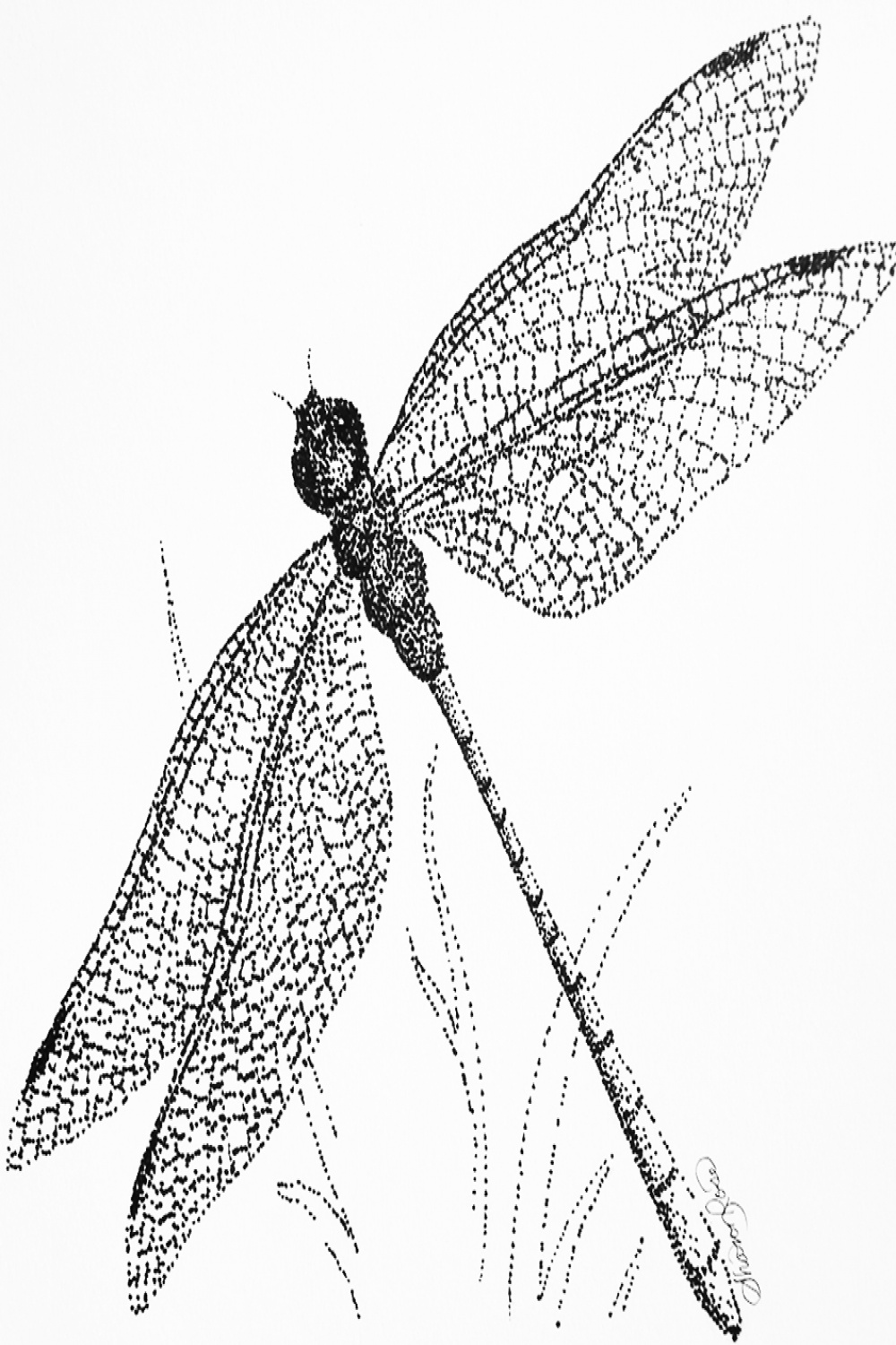 Lessons in Ink: Dragonfly - Creating a Masterpiece