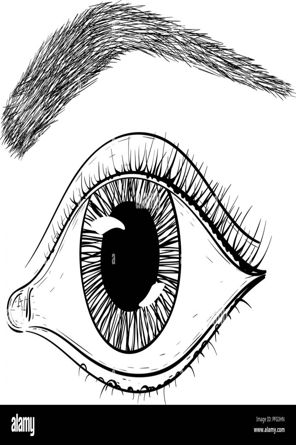 Line drawing eye hi-res stock photography and images - Alamy