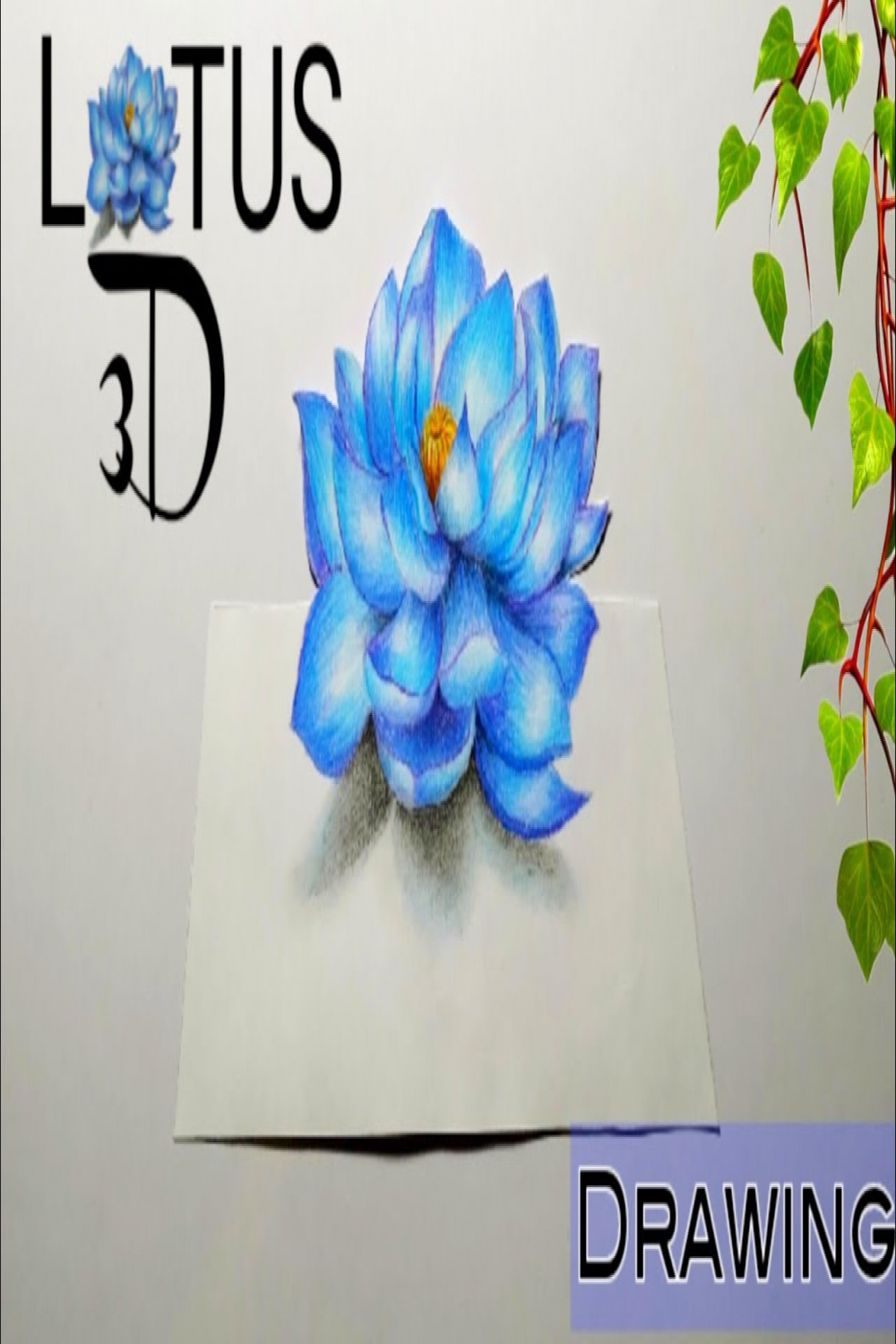 Lotus D Art  How To Draw Lotus  D Lotus Drawing  Colored Pencils  Drawing