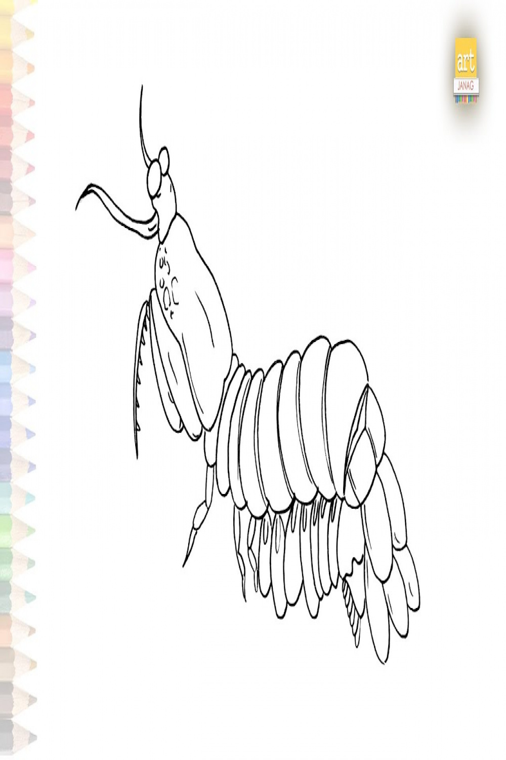 Mantis shrimp drawing easy  Fish drawing tutorials  How to draw Mantis  shrimp Animal step by step
