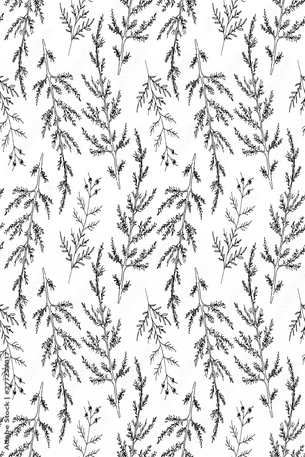 Monochrome natural pattern, hand drawing isolated