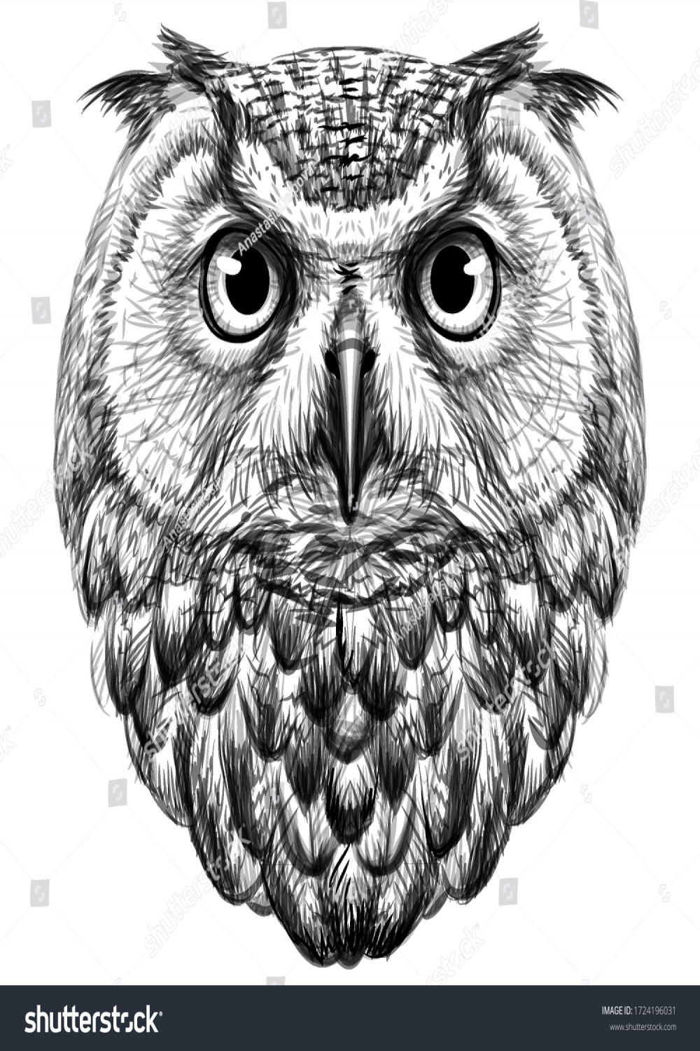 , Monochrome Owl Images, Stock Photos, D objects, & Vectors