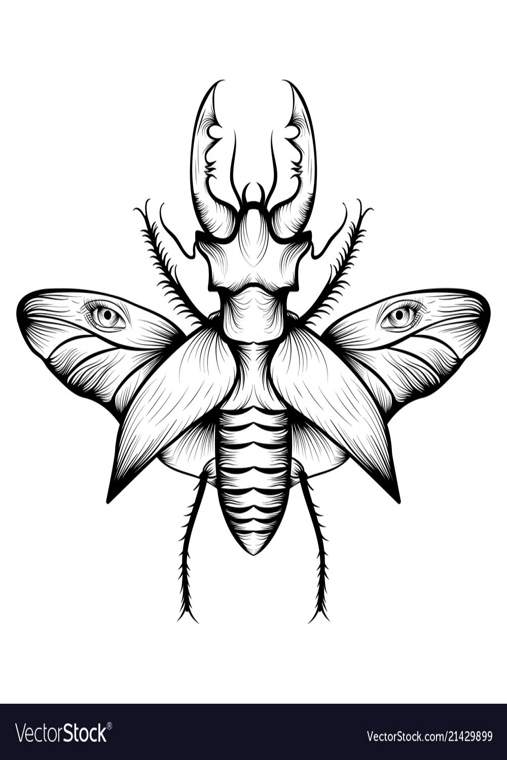 Monochrome stag beetle drawing Royalty Free Vector Image