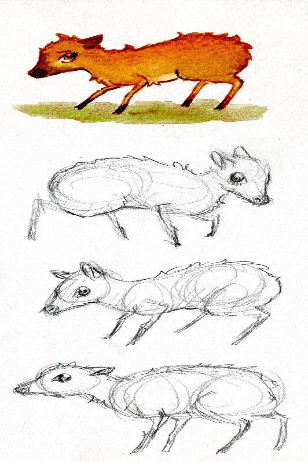 Mouse Deer  Mouse deer, Deer drawing, Deer illustration