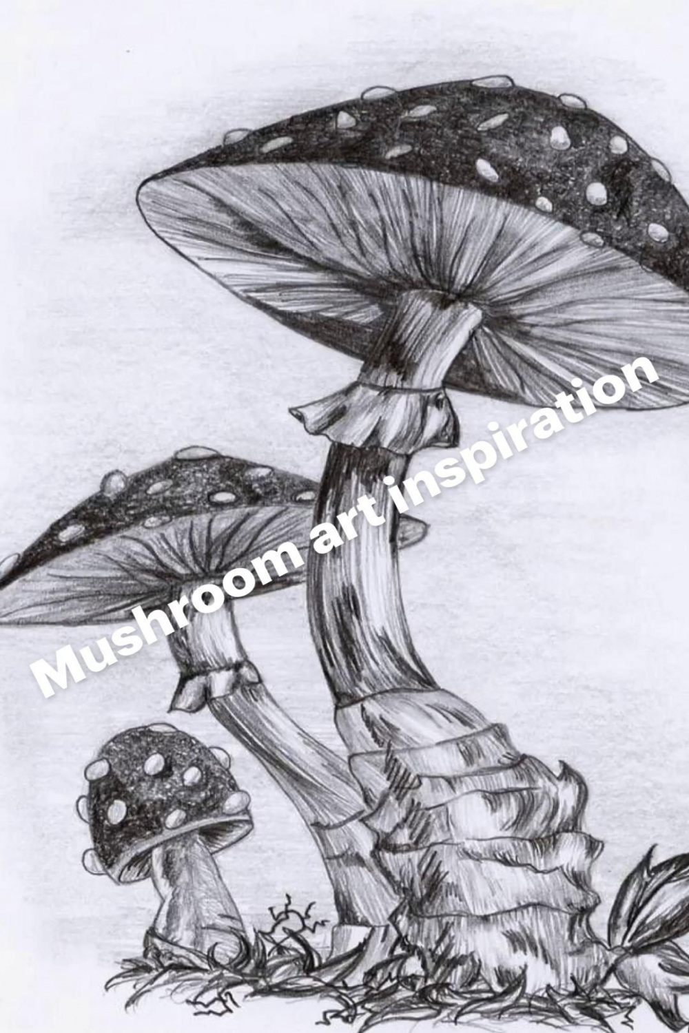 Mushroom art inspiration  Mushroom art, Cool art drawings, Art