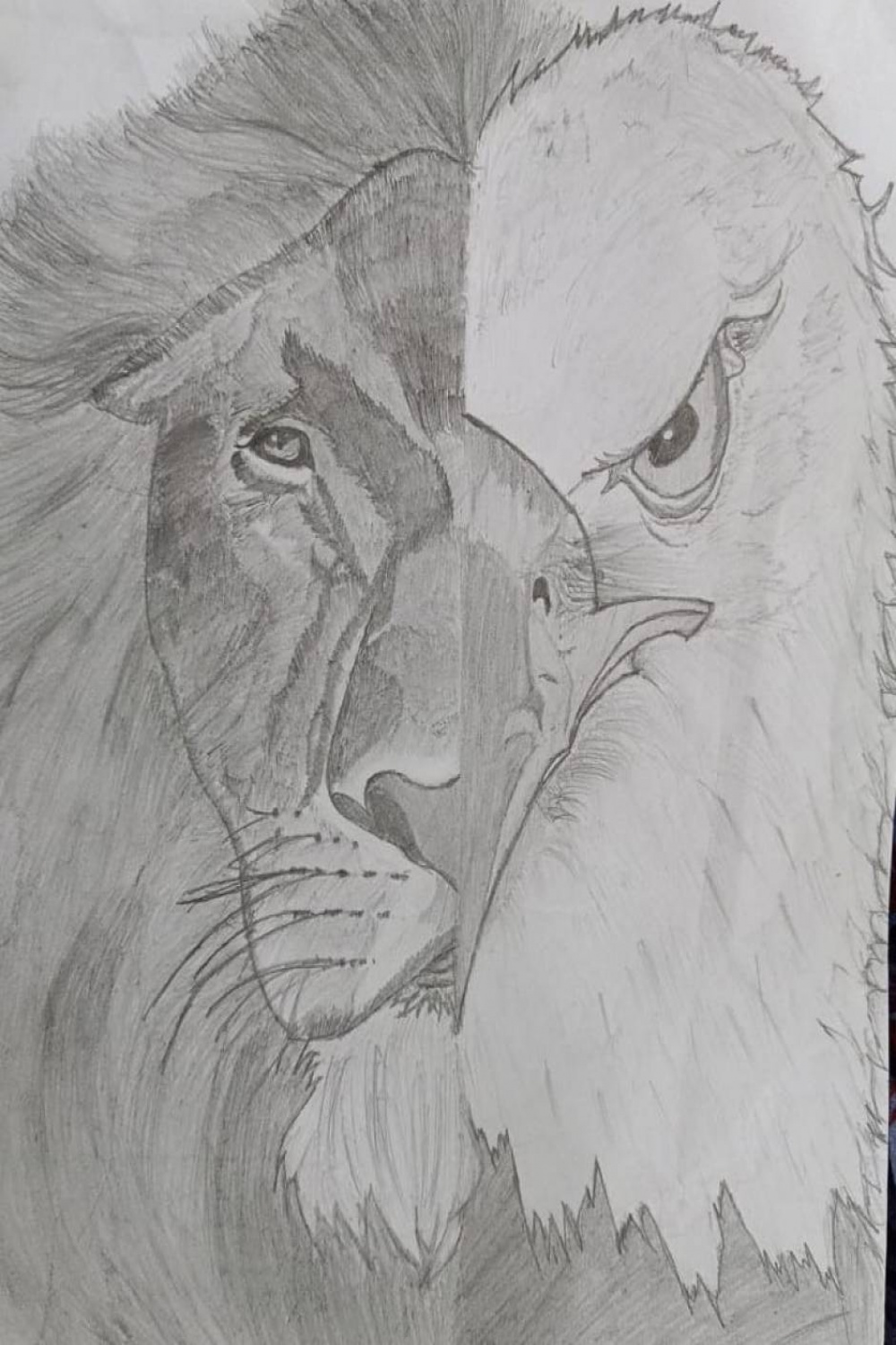 My portrait of lion and eagle