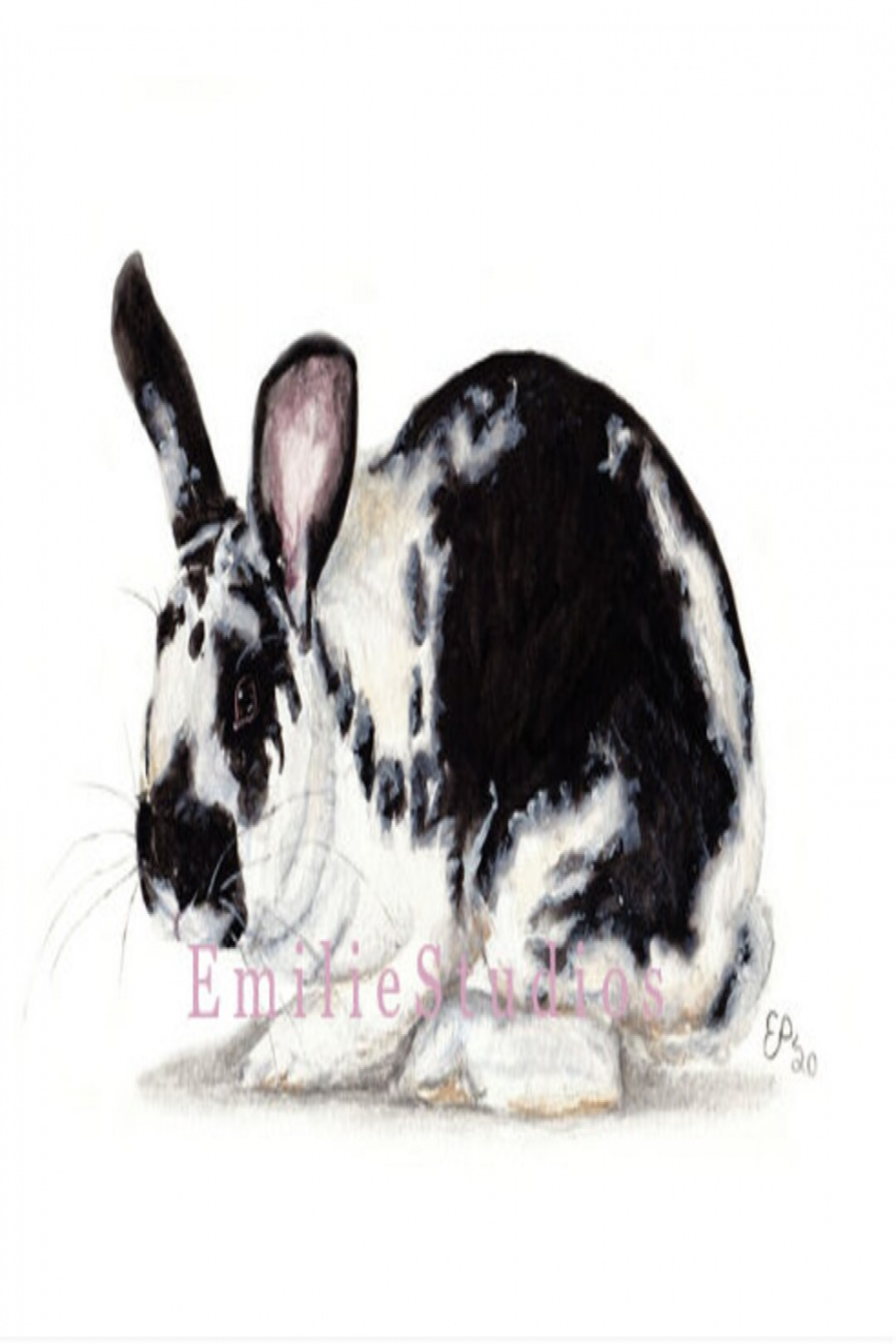New Zealand Rabbit Watercolor Print - Etsy Canada