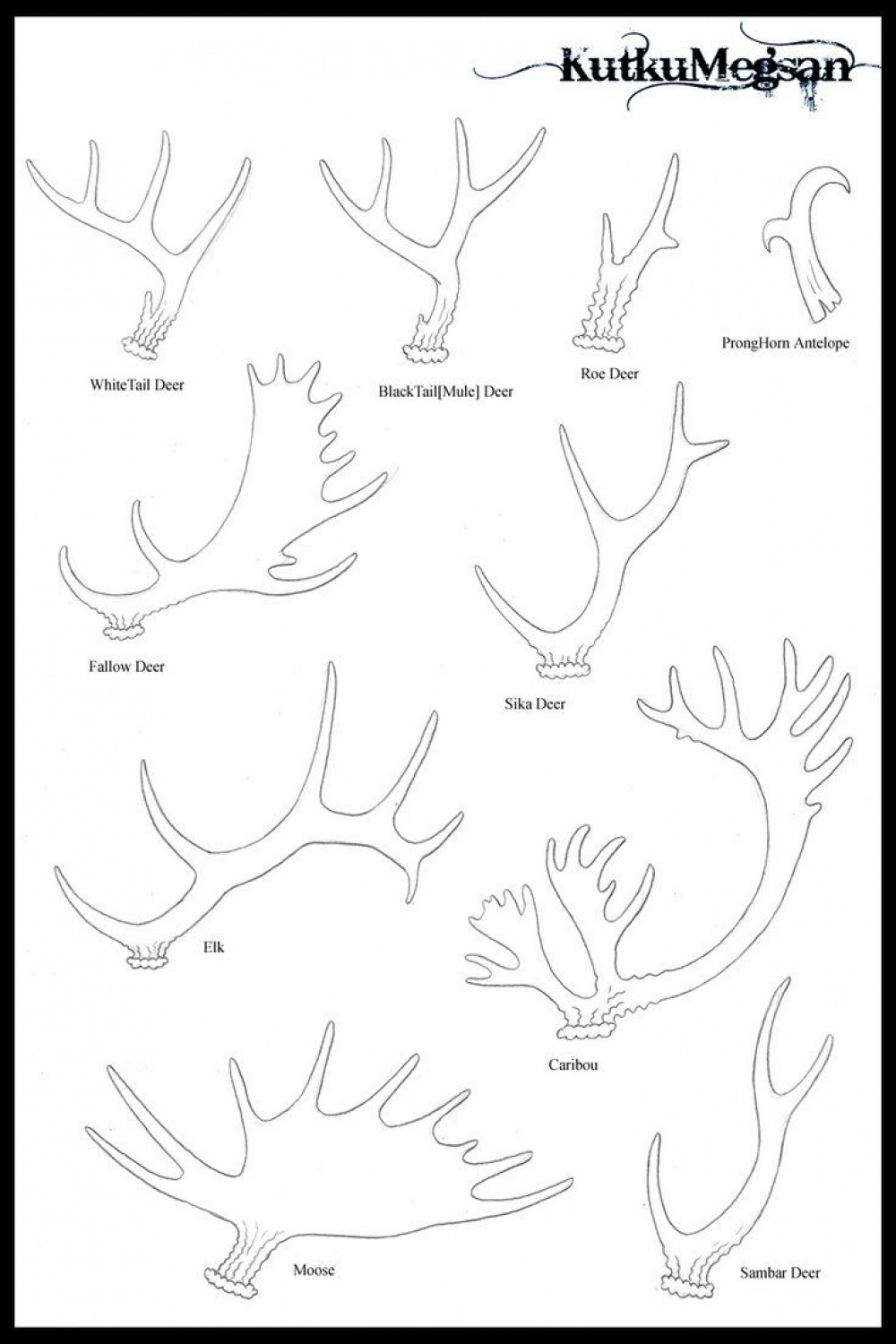 North American Antlers- Antler Tutorial Glyph  Antler art drawing
