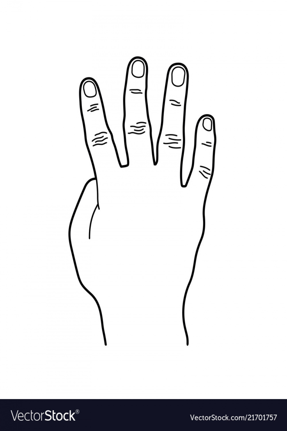 Number  or four hand sign line art style Vector Image