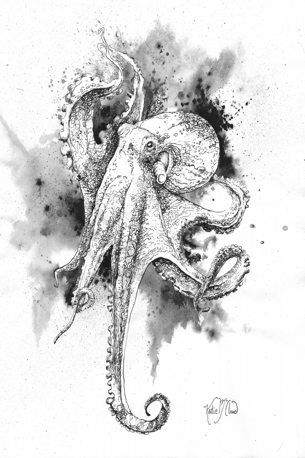 Octopus Pen and Ink Drawing Handmade Original Artwork and Prints
