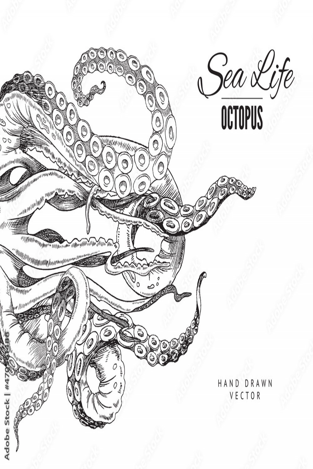 Octopus tentacle vector sketch